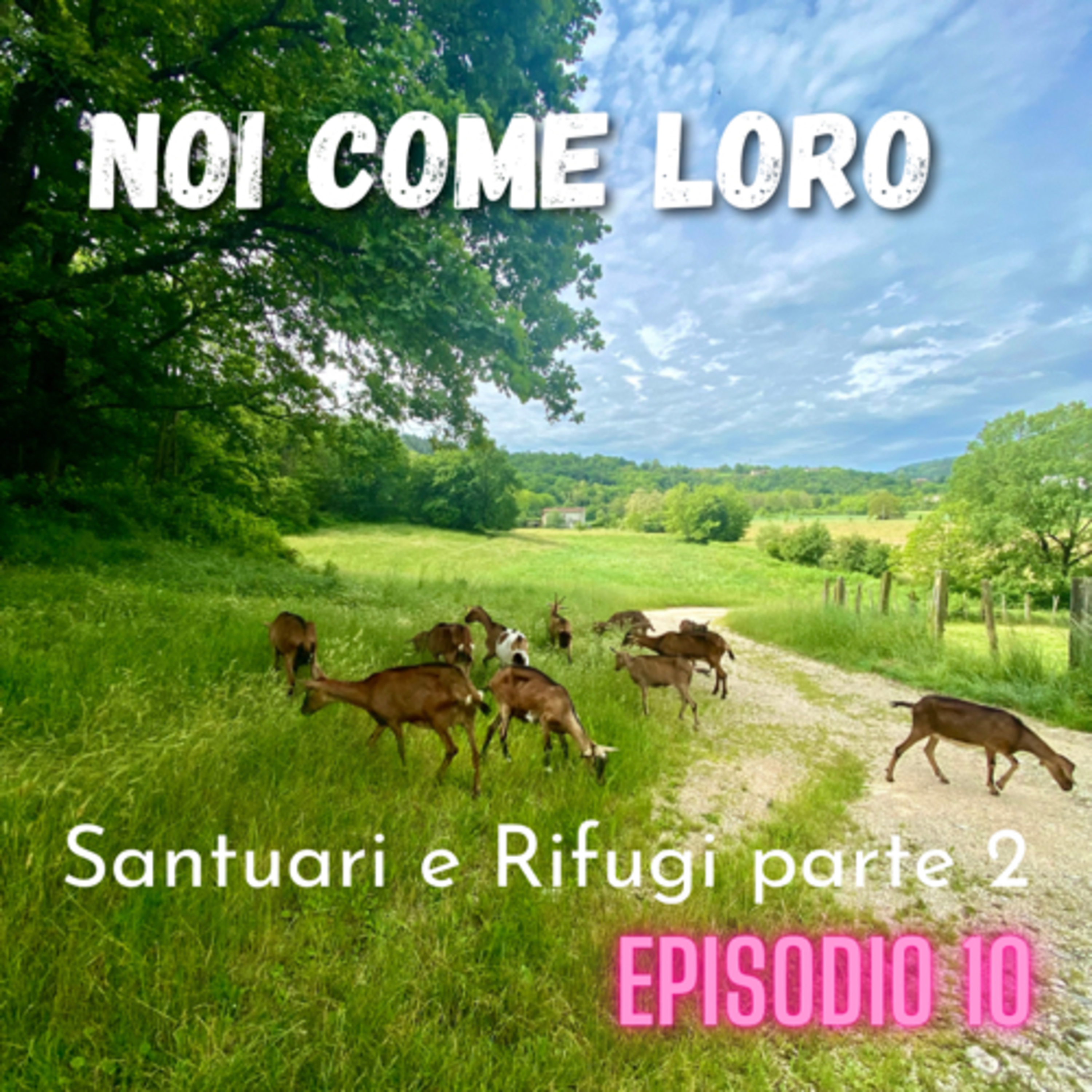 Noi come Loro