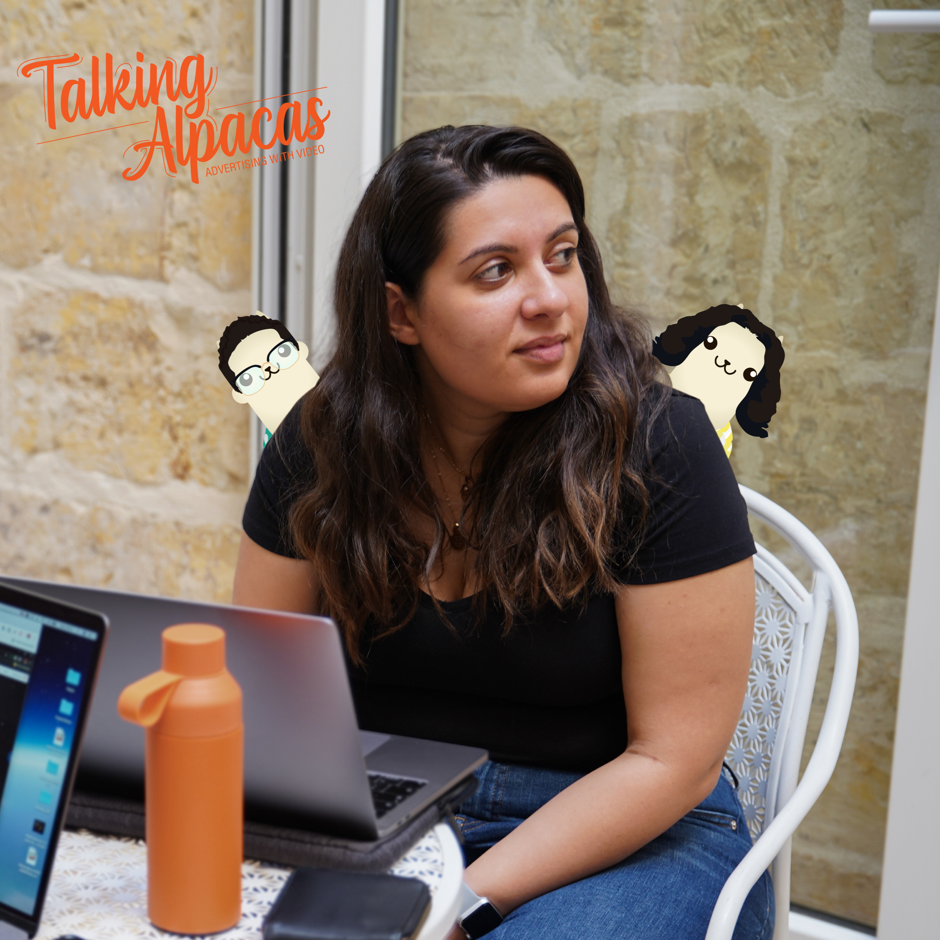 Talking Alpacas: Advertising with Video