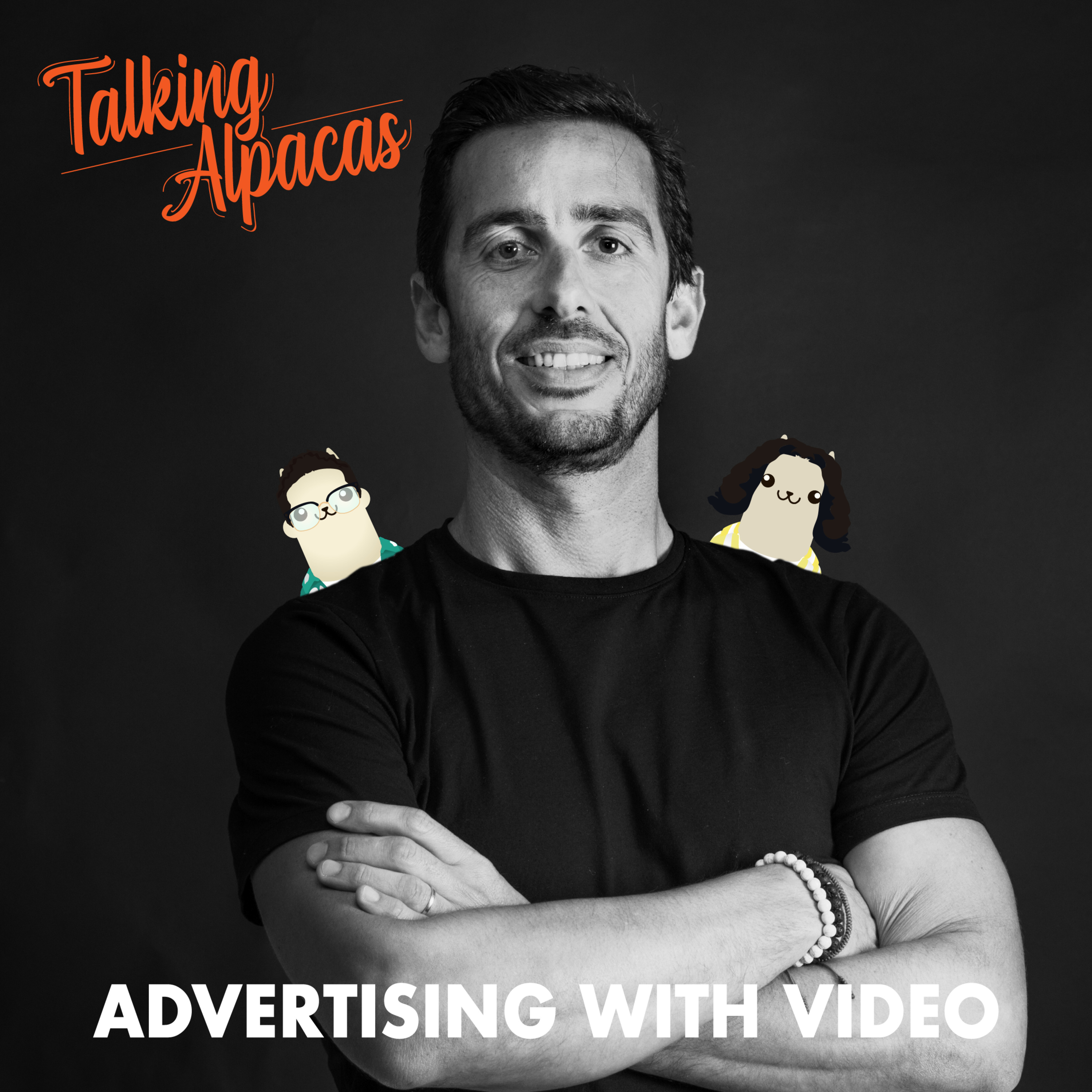 Talking Alpacas: Advertising with Video