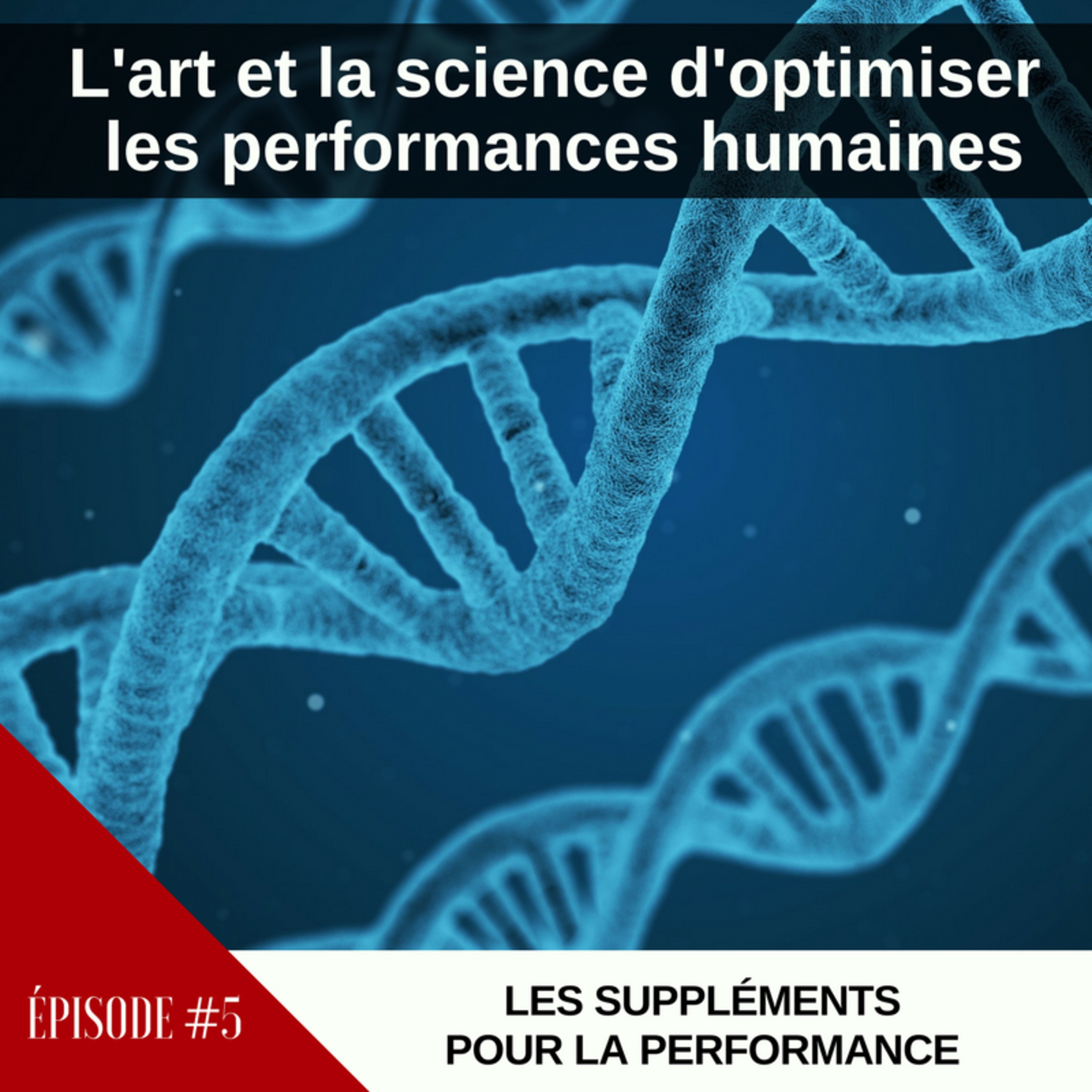 #5 - Les Suppléments pour la Performance