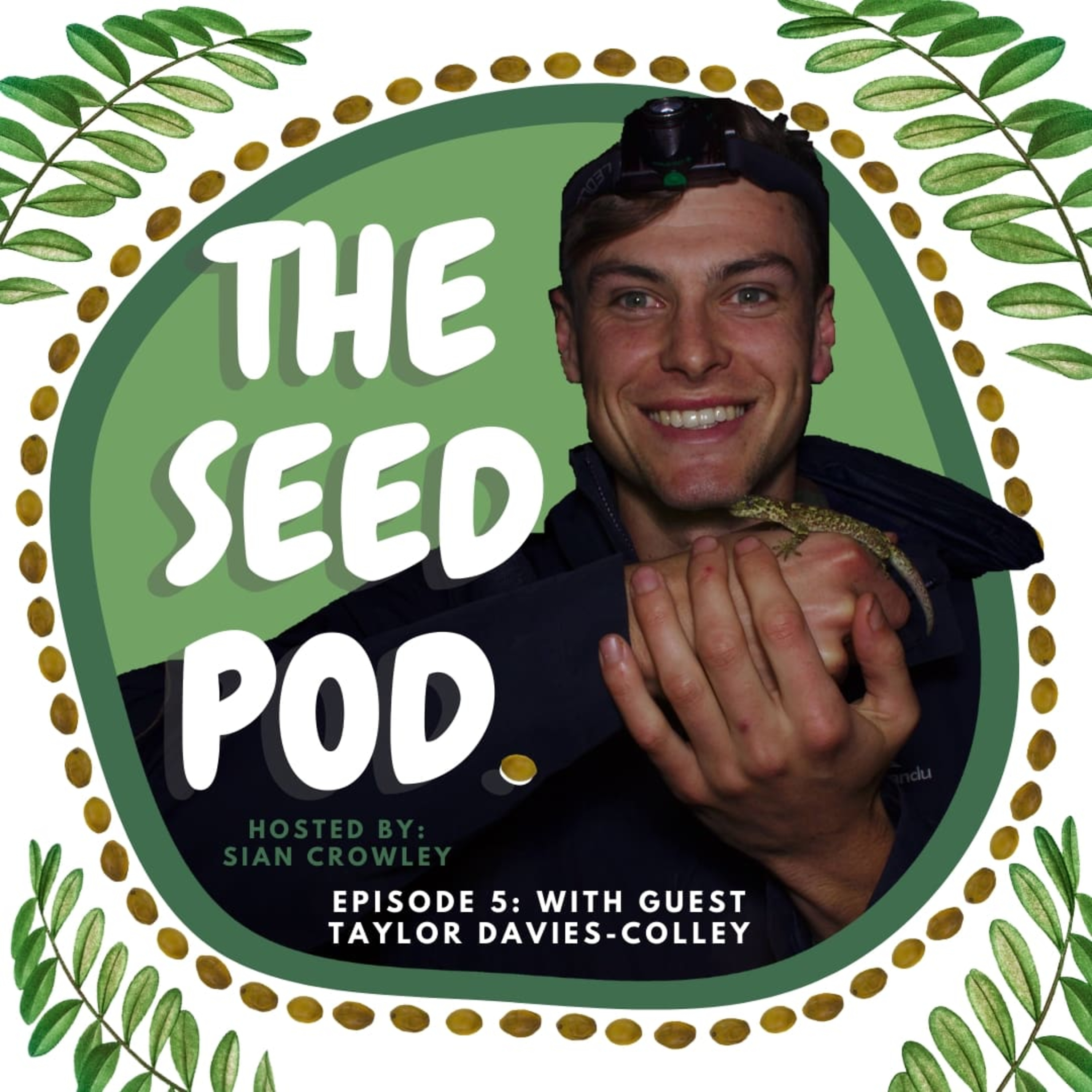 The Seed Pod.