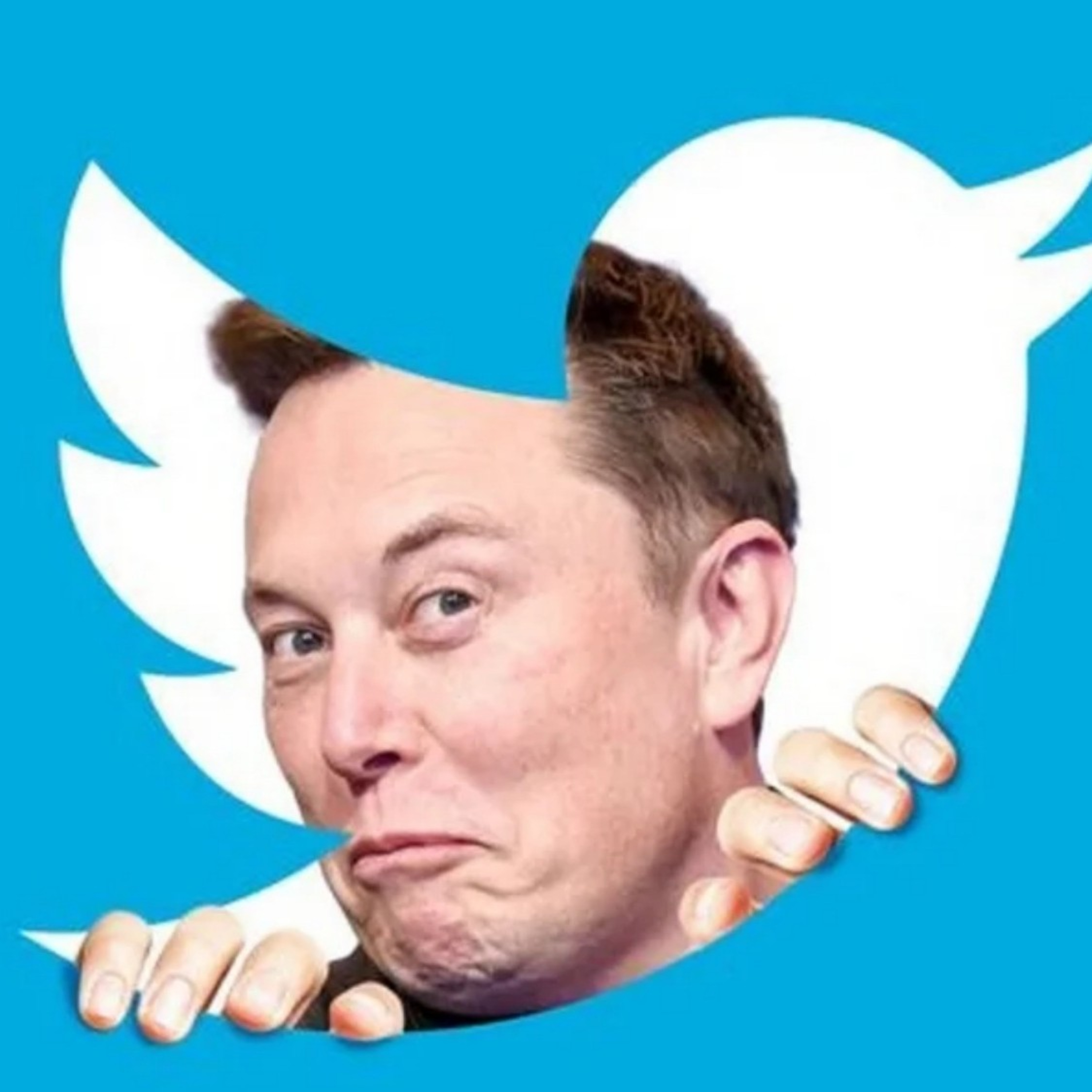 Going after Elon/Rogan, dog fights, blue roofs & more episode artwork