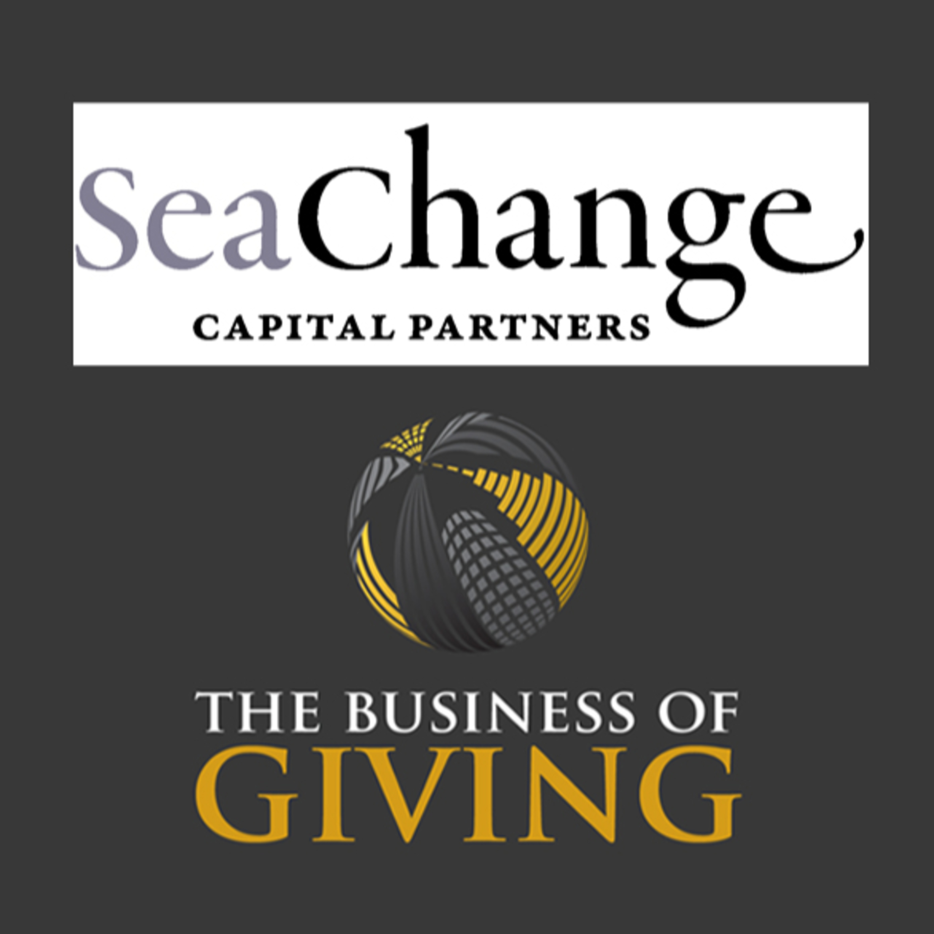 Sea Change Managing Partner on What Nonprofits Need to Do to Survive episode artwork