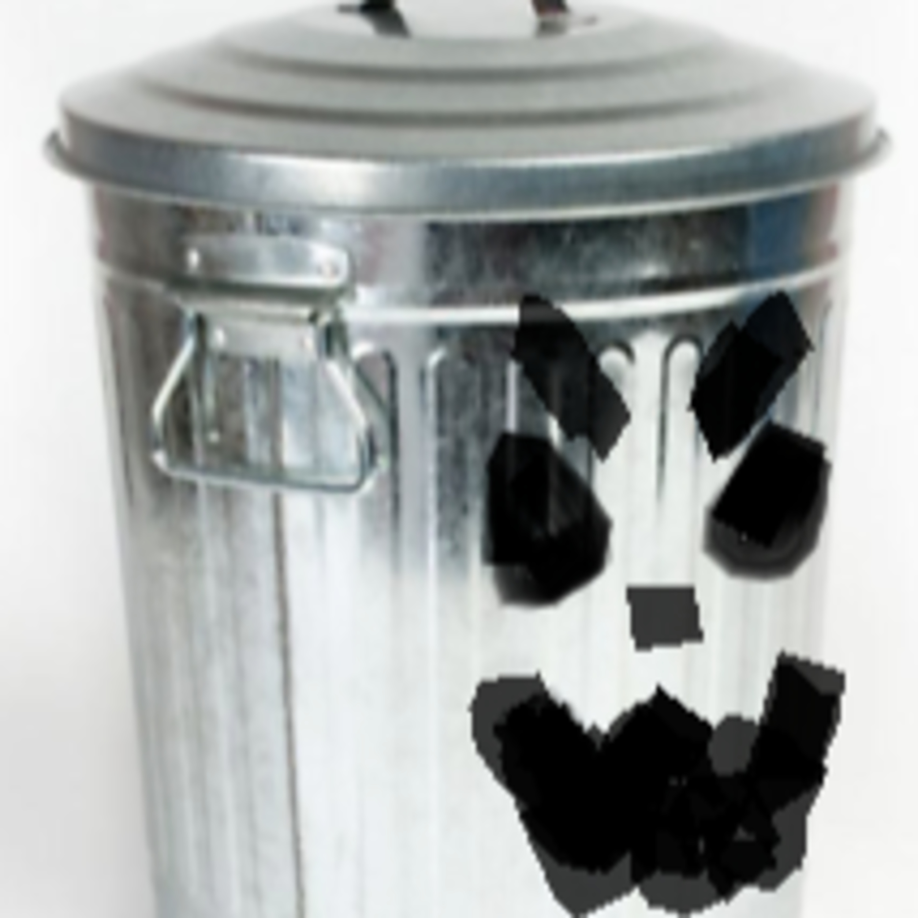 The Total Trash Podcast