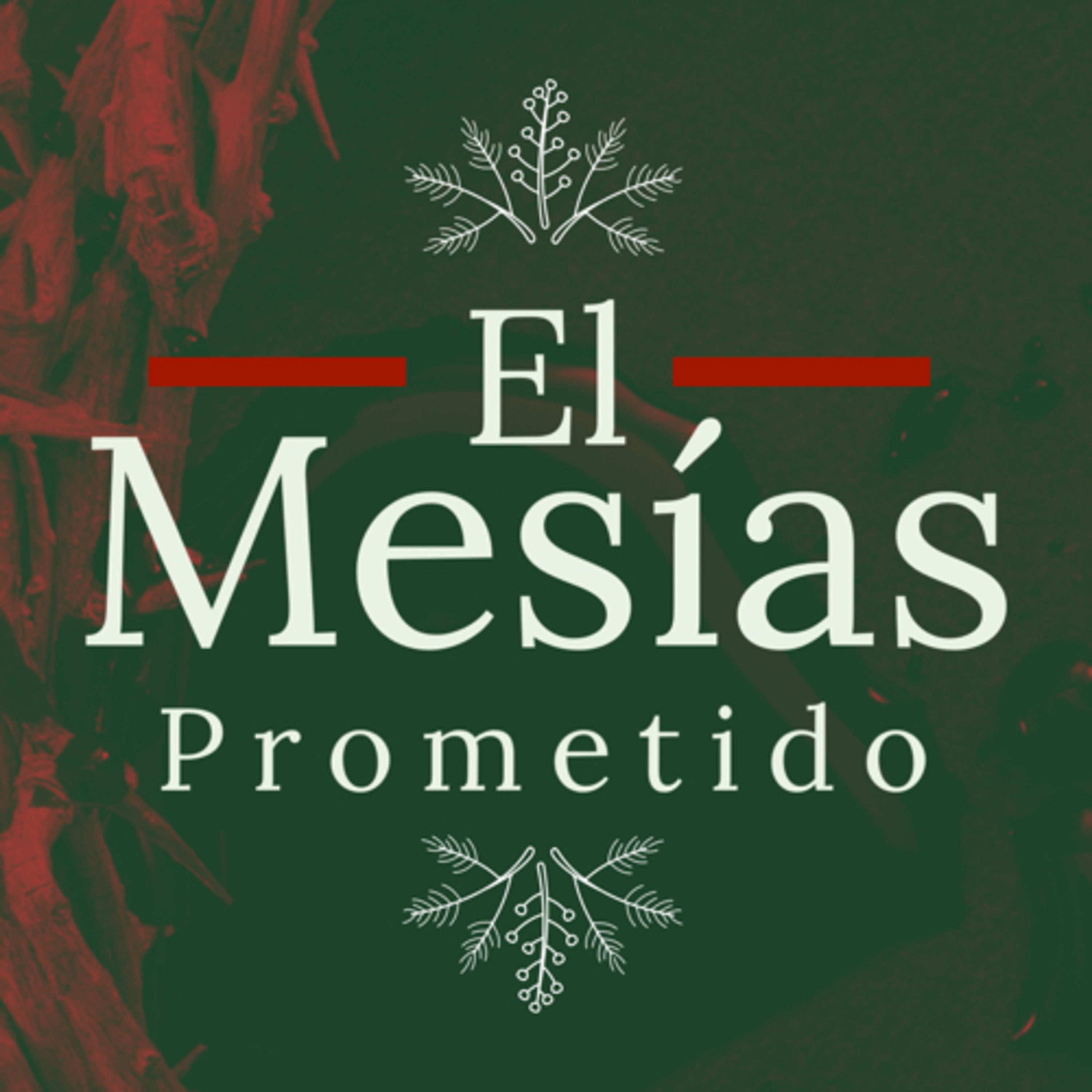 Portada de IB CASTILLO FUERTE
