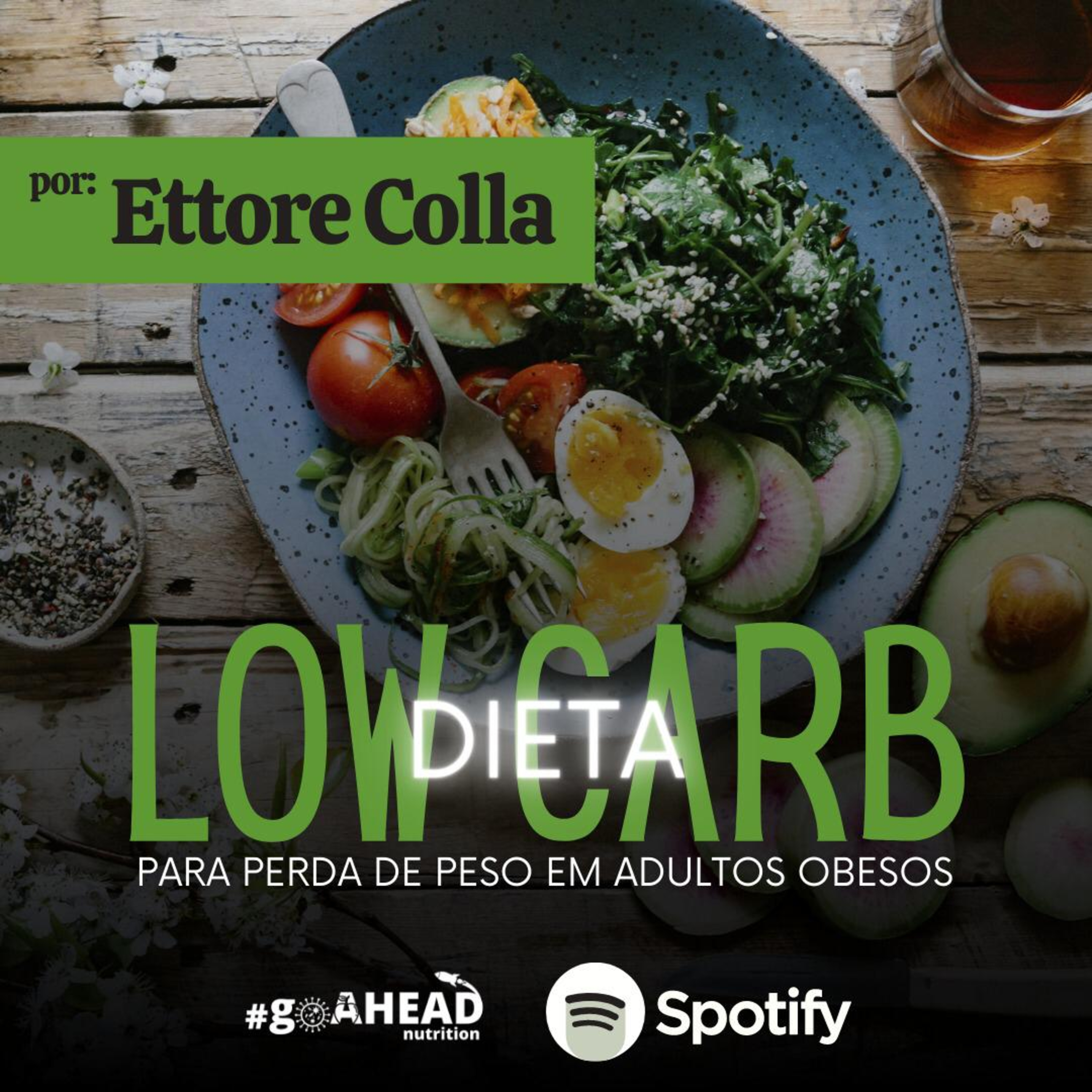 Dieta Low Carb para Perda de Peso em Adultos Obesos episode artwork