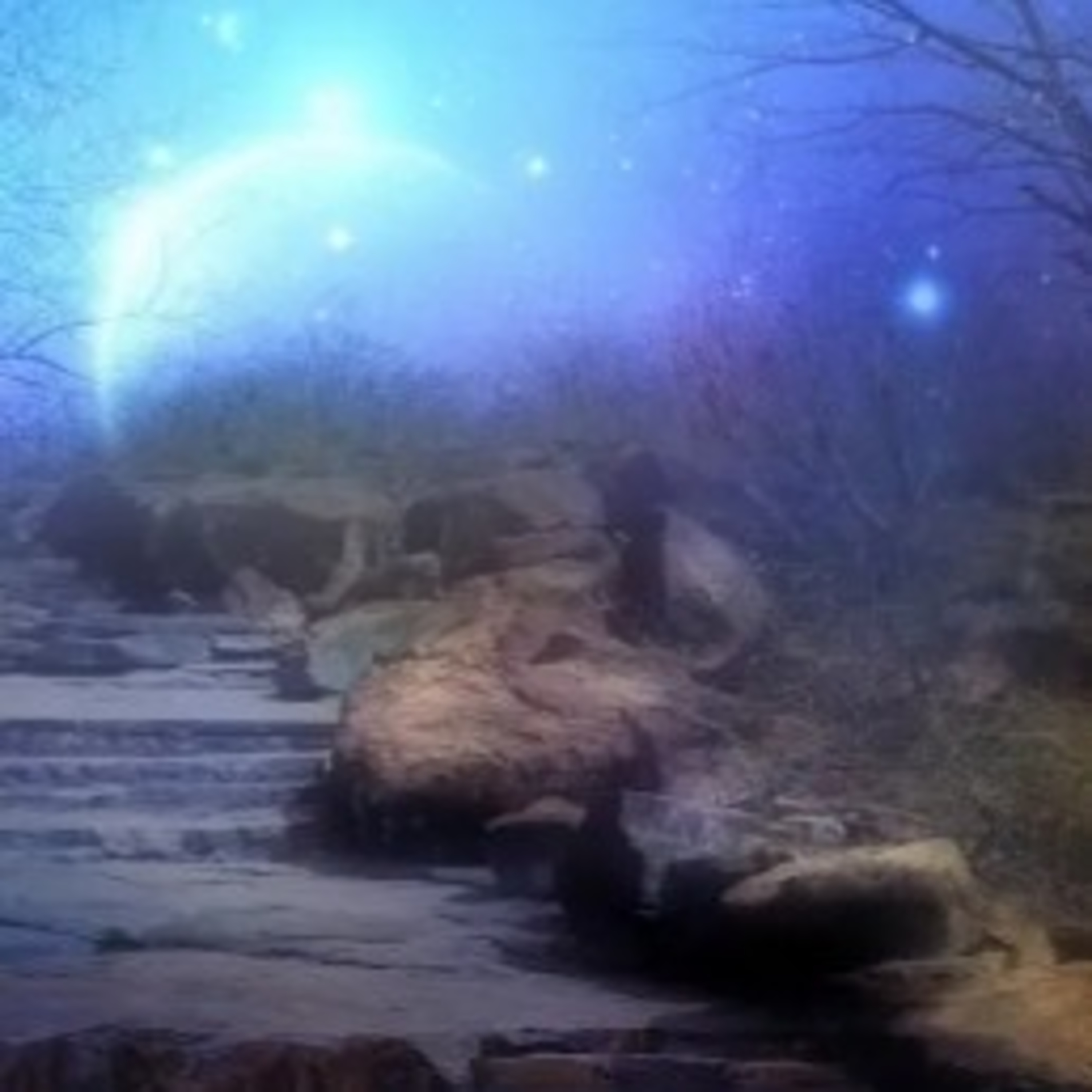 The Disillusioned Dream episode artwork