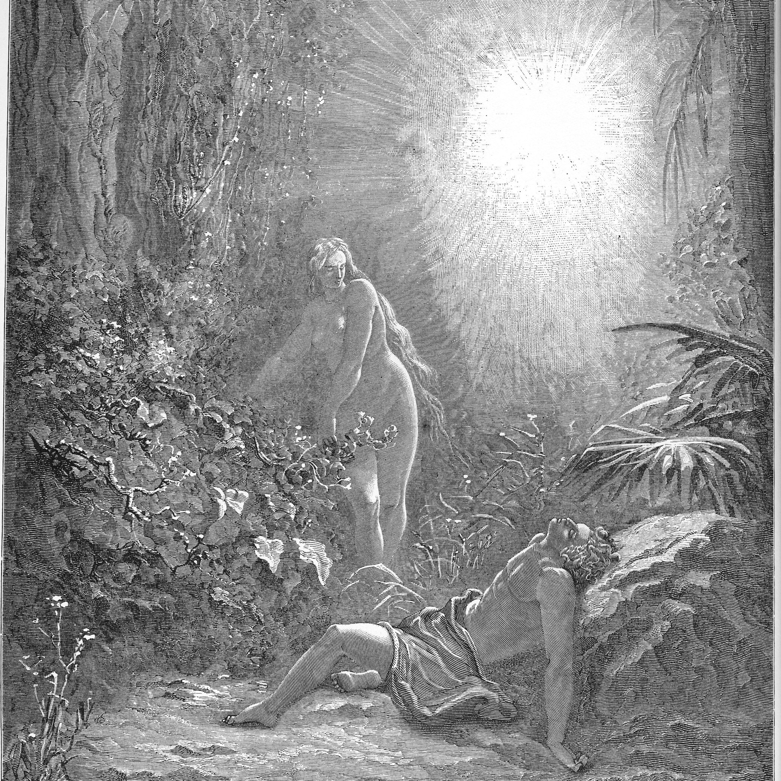 2: Genesis 2 (God Creates Man and Woman) episode artwork