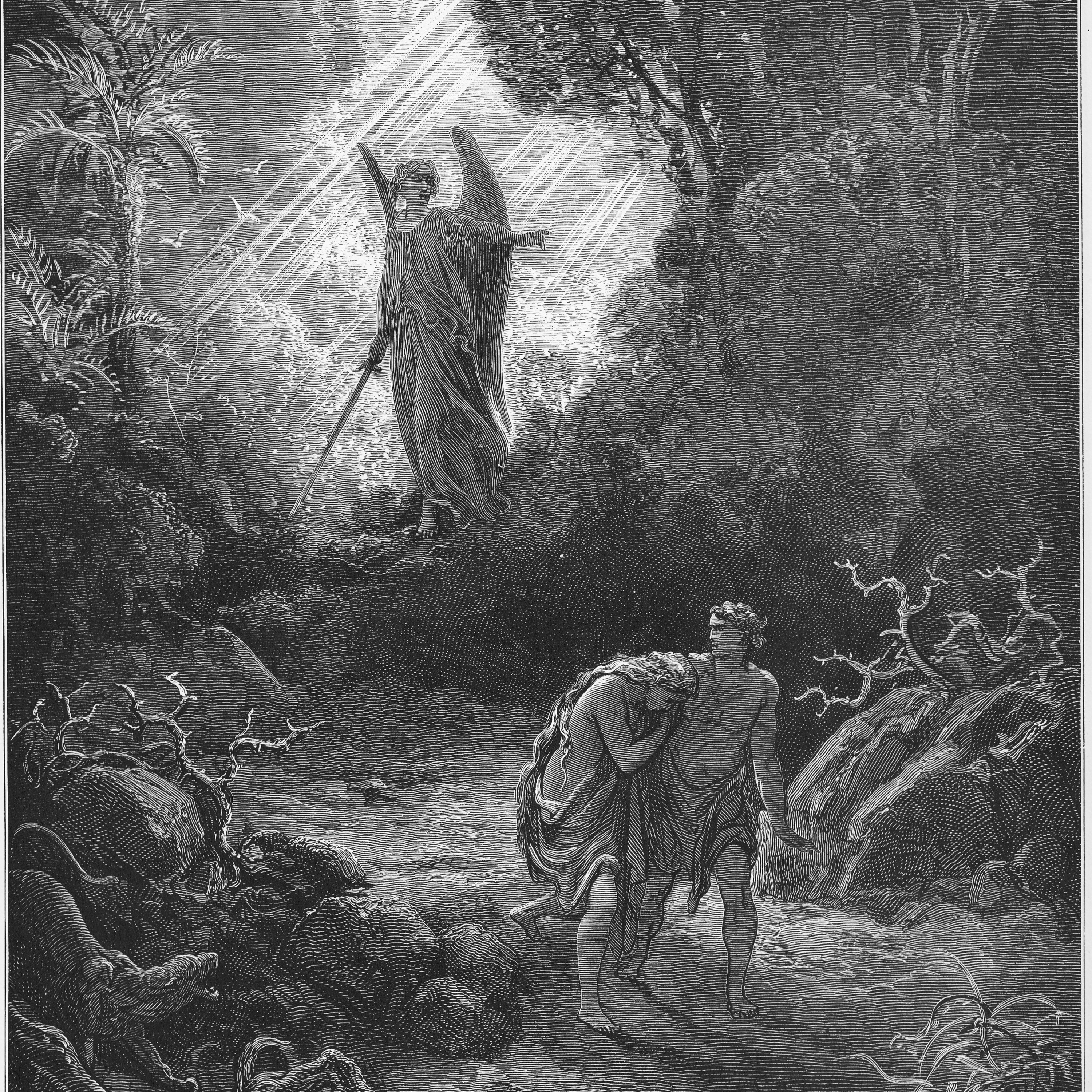 3: Genesis 3 (The Fall of Man) episode artwork