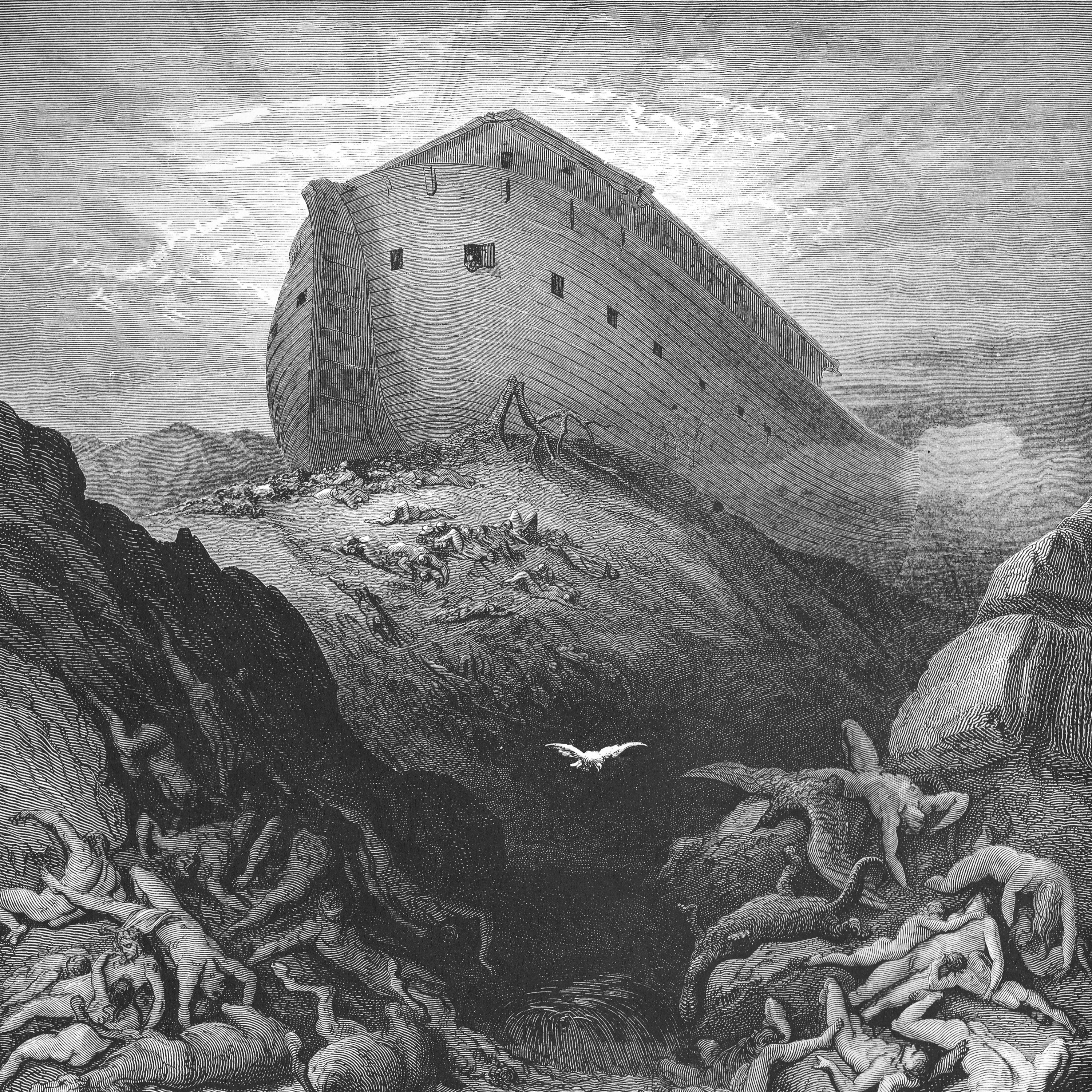 8: Genesis 8 (The Flood Waters Subside) episode artwork