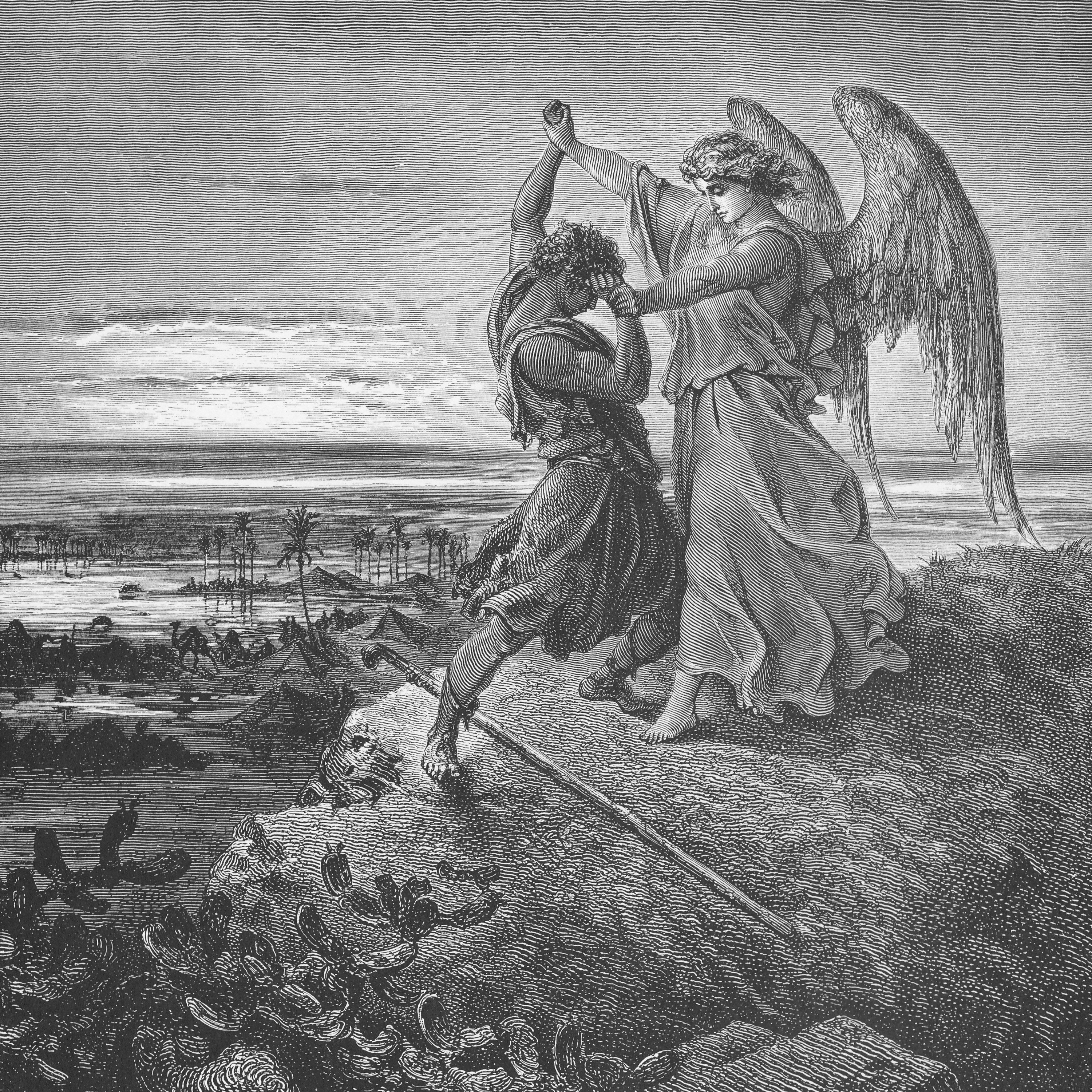 Daily Bible Reading