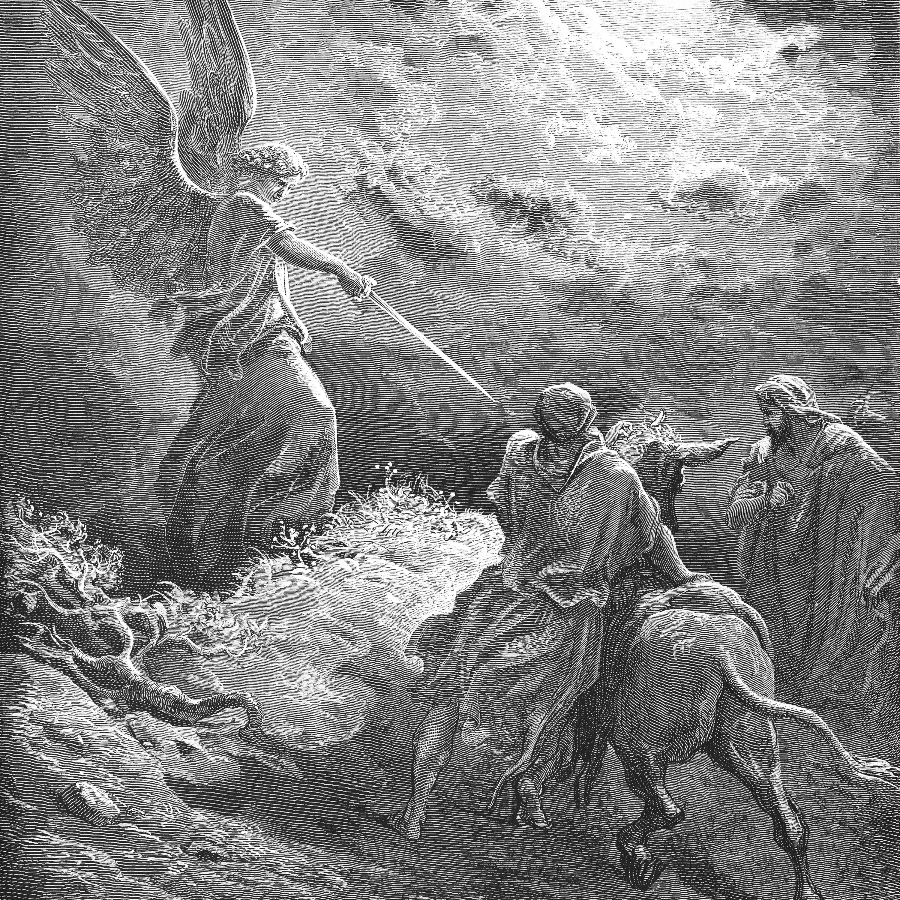 Daily Bible Reading
