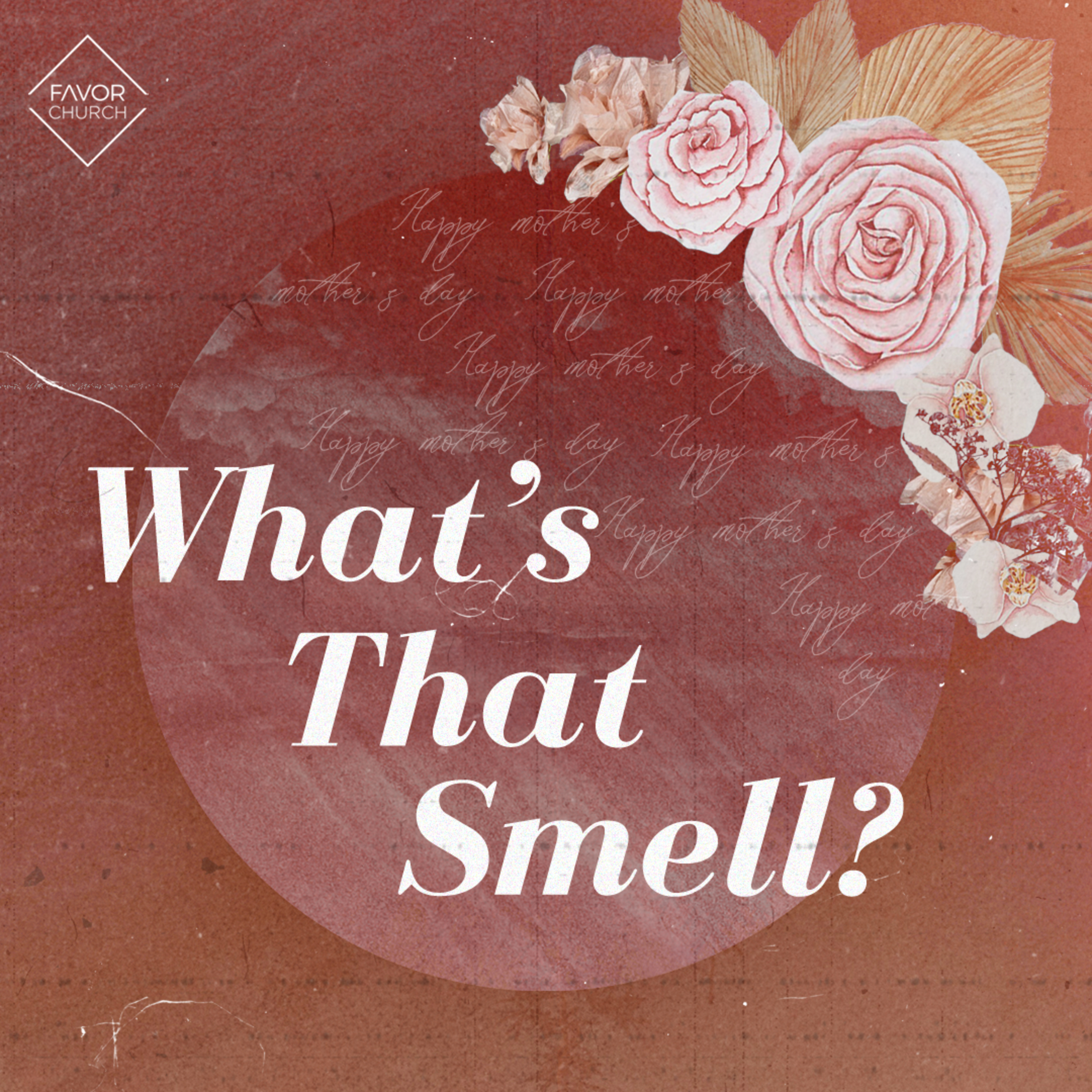 What's That Smell? - Kate Aiton episode artwork