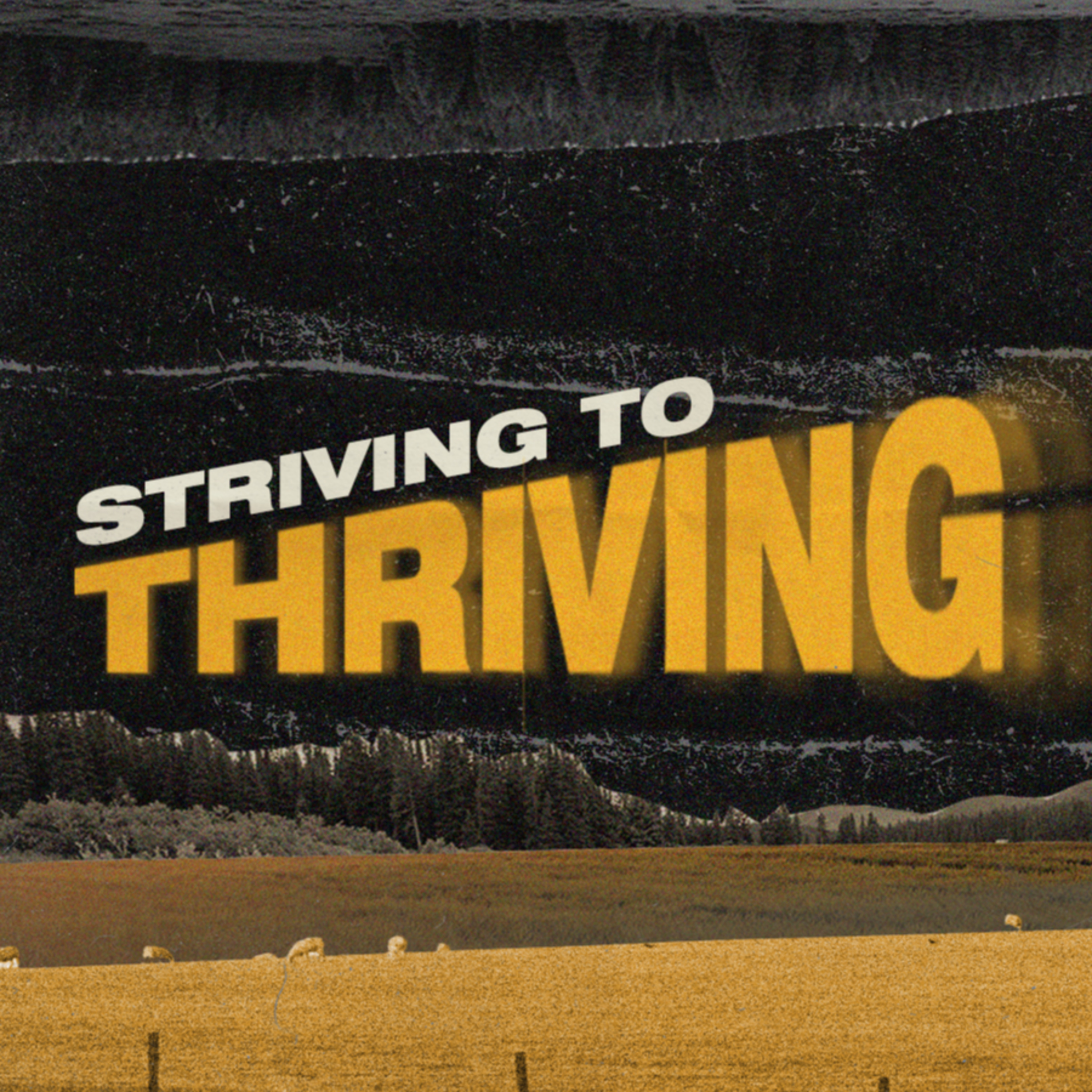 Striving to Thriving - Woolim Ma episode artwork
