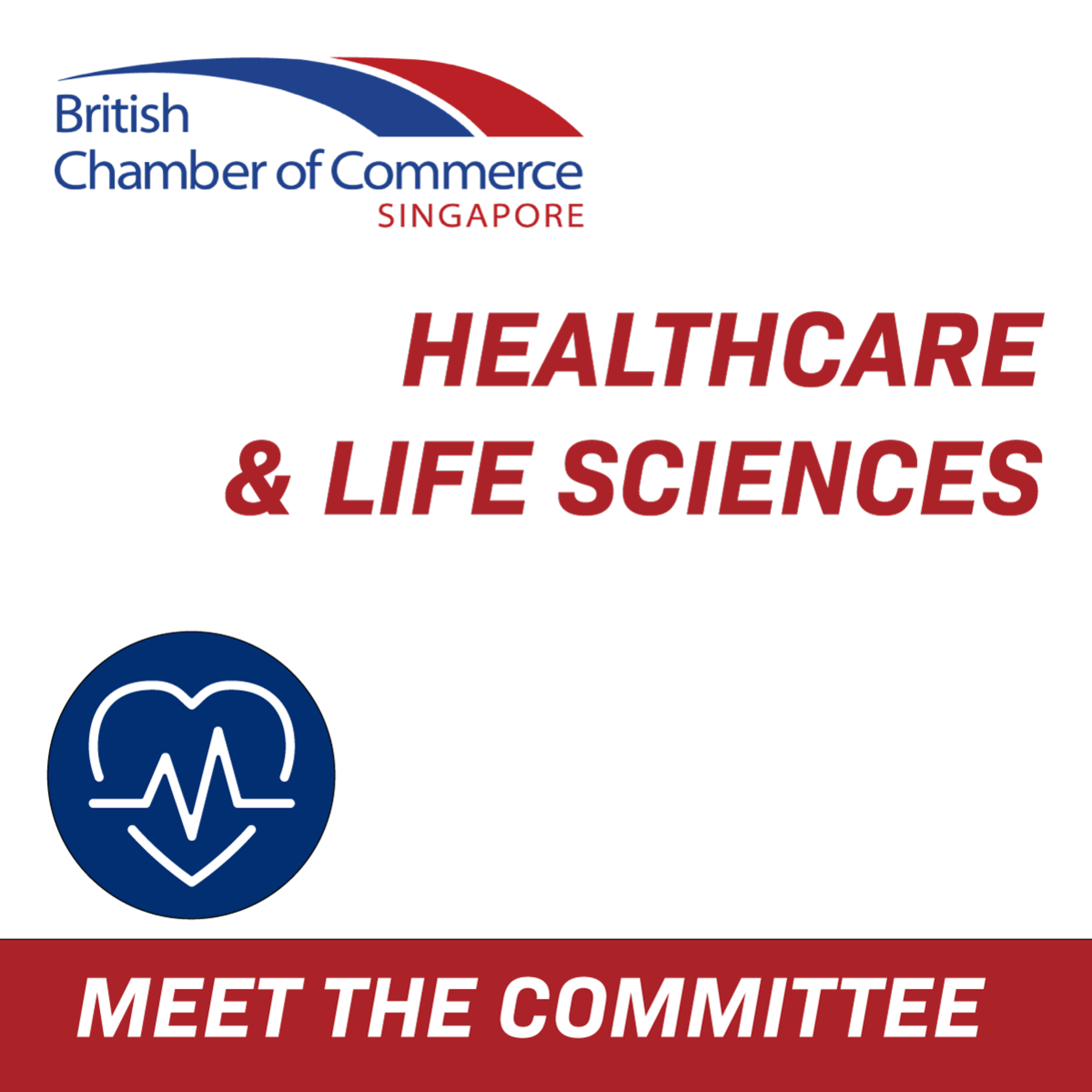 Ep 19 : MEET THE COMMITTEE - HEALTHCARE & LIFE SCIENCES episode artwork
