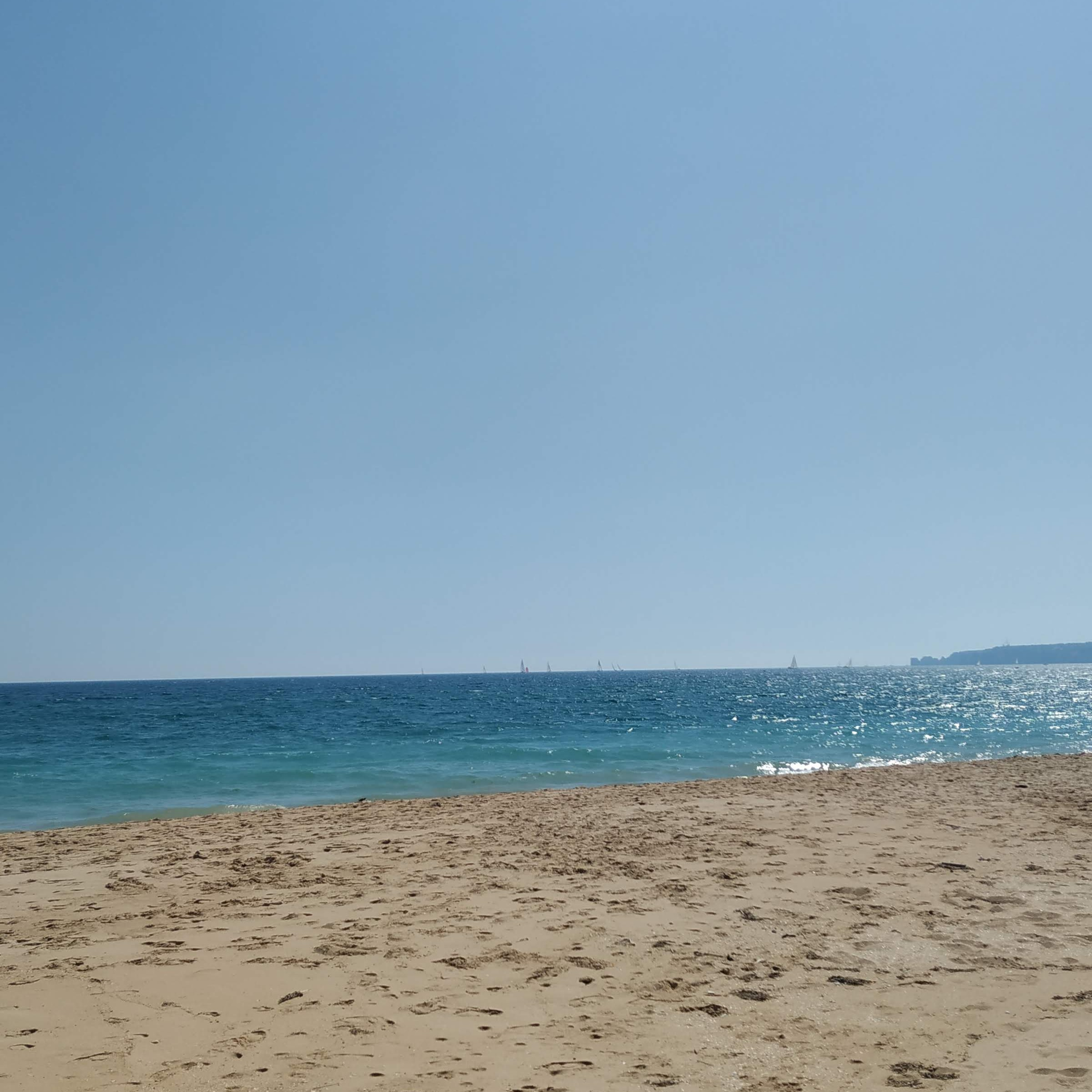 Unser tägliches Brot