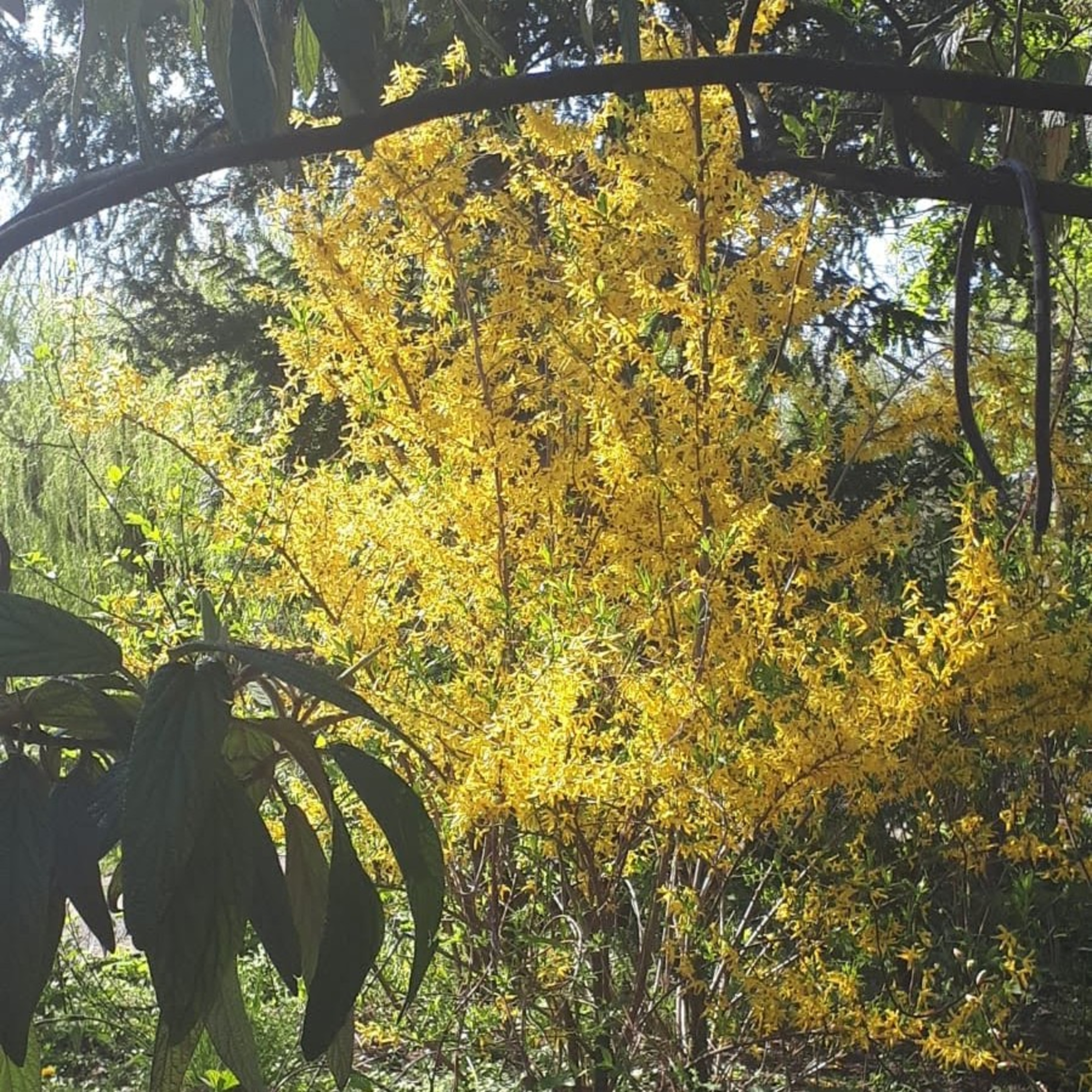 Unser tägliches Brot
