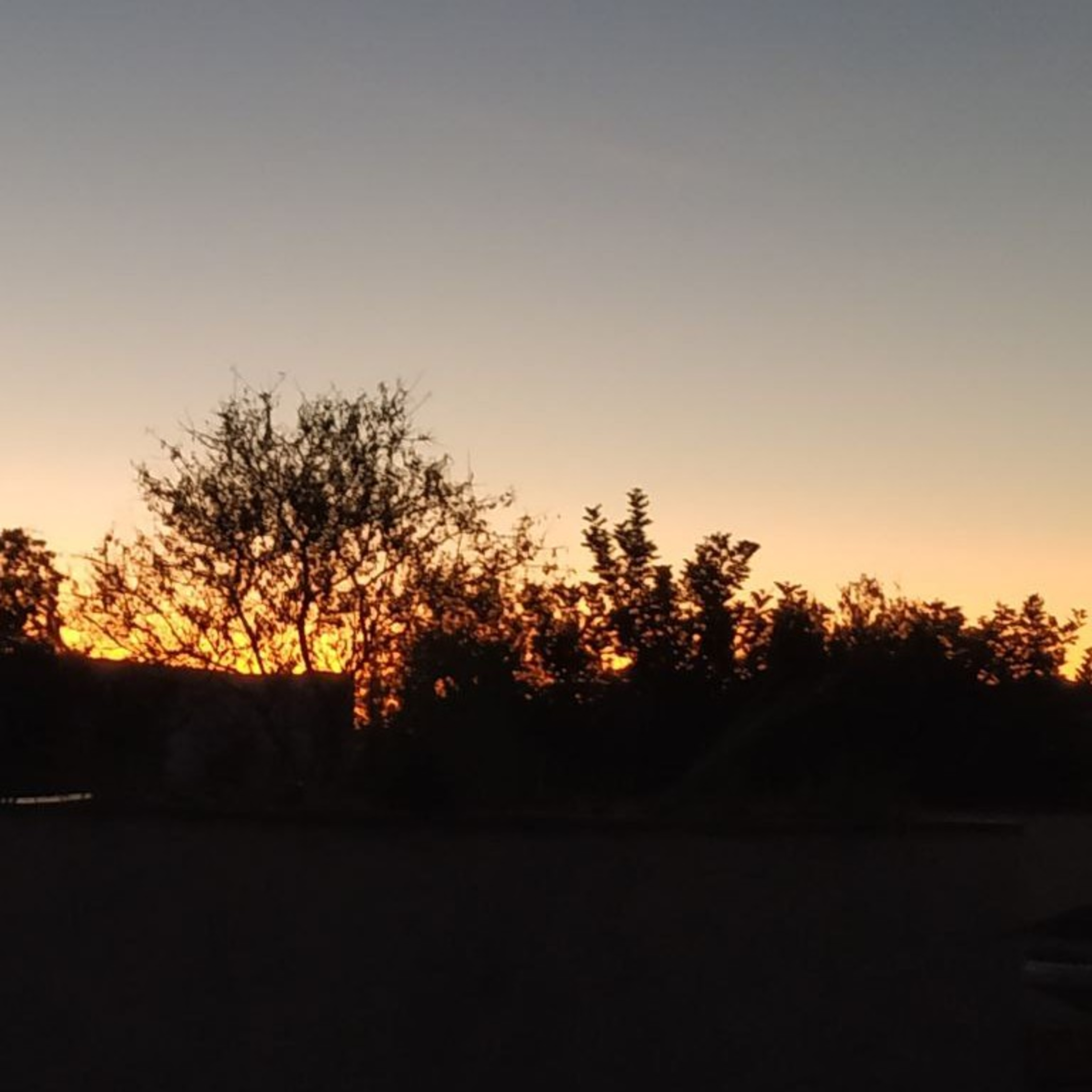 Unser tägliches Brot