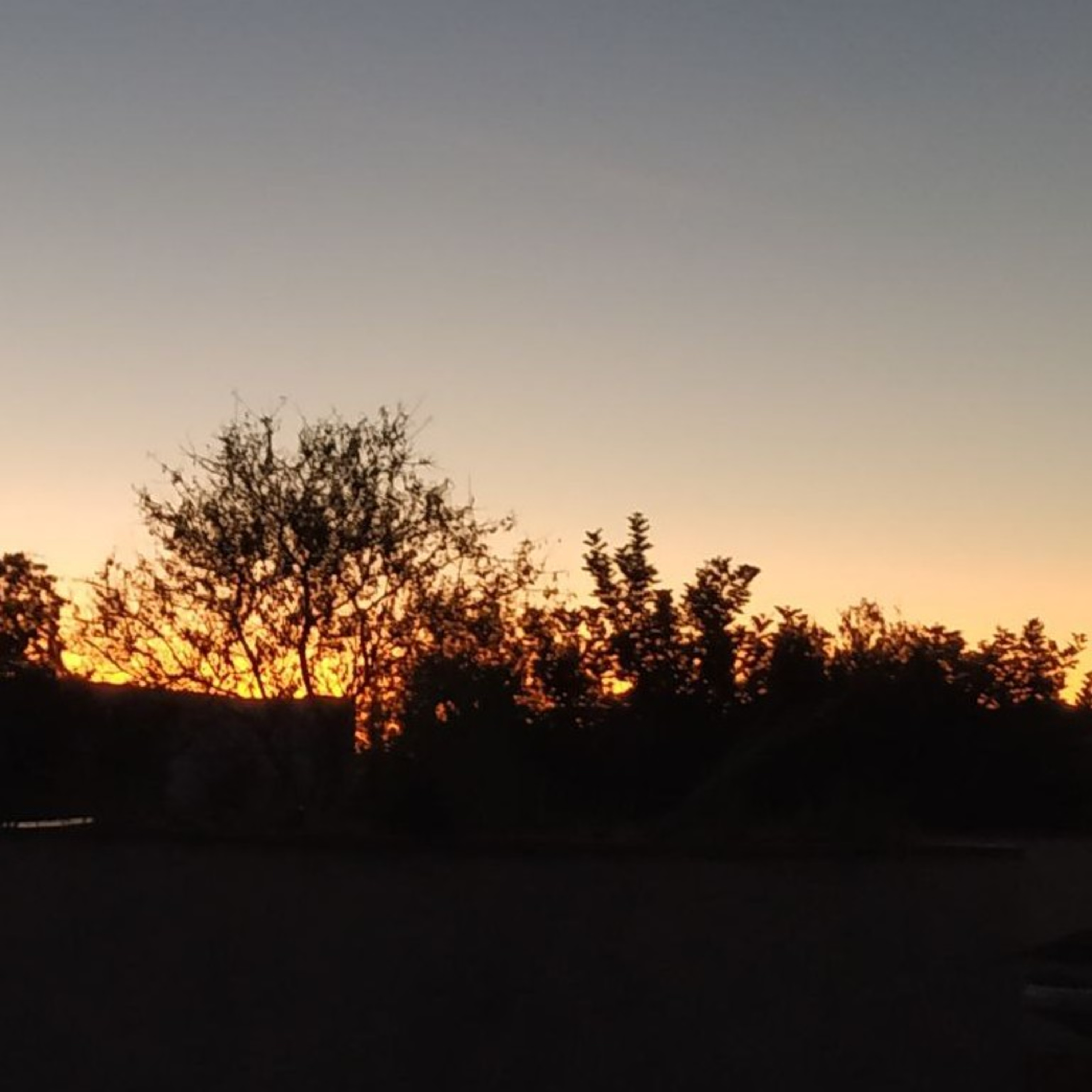 Unser tägliches Brot