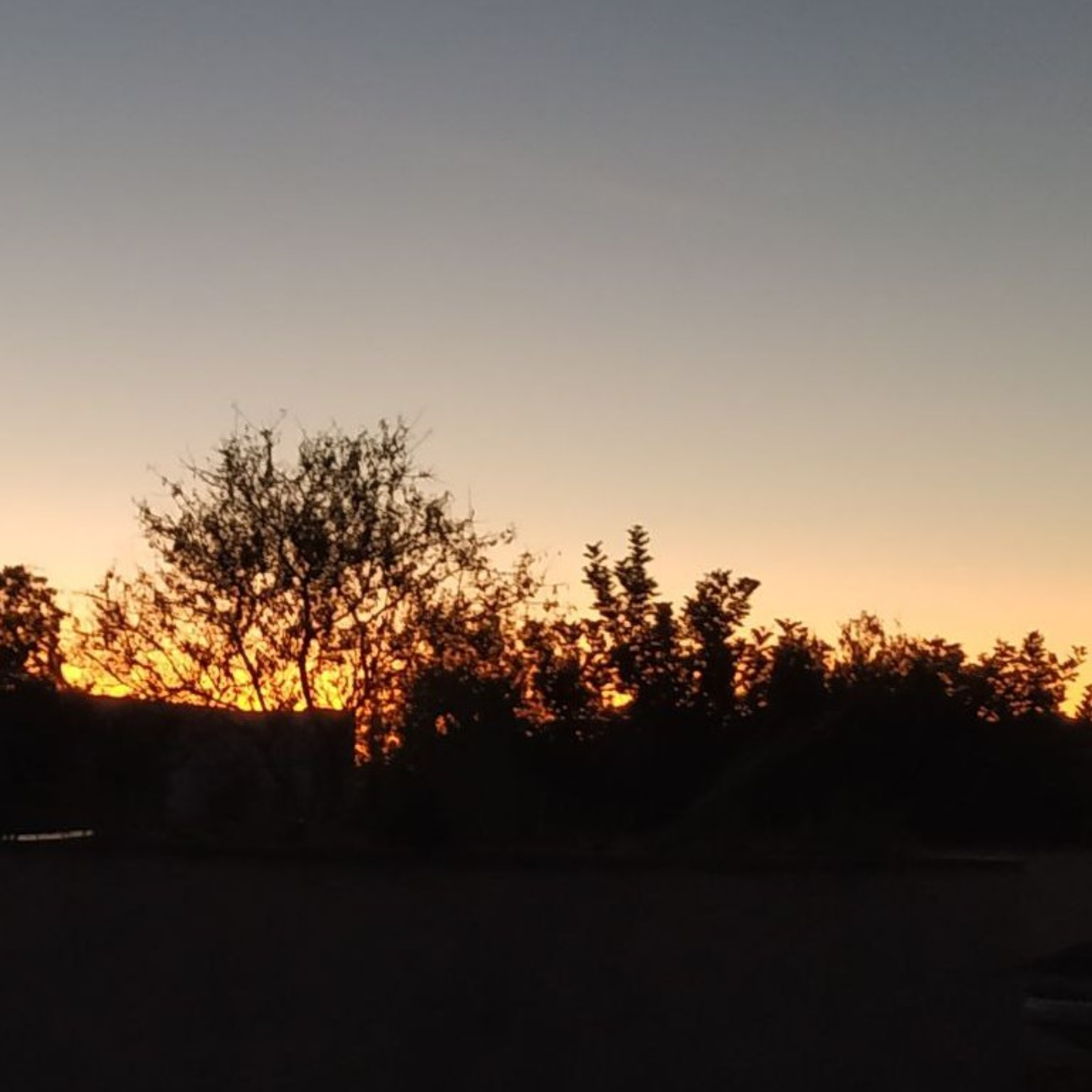 Unser tägliches Brot