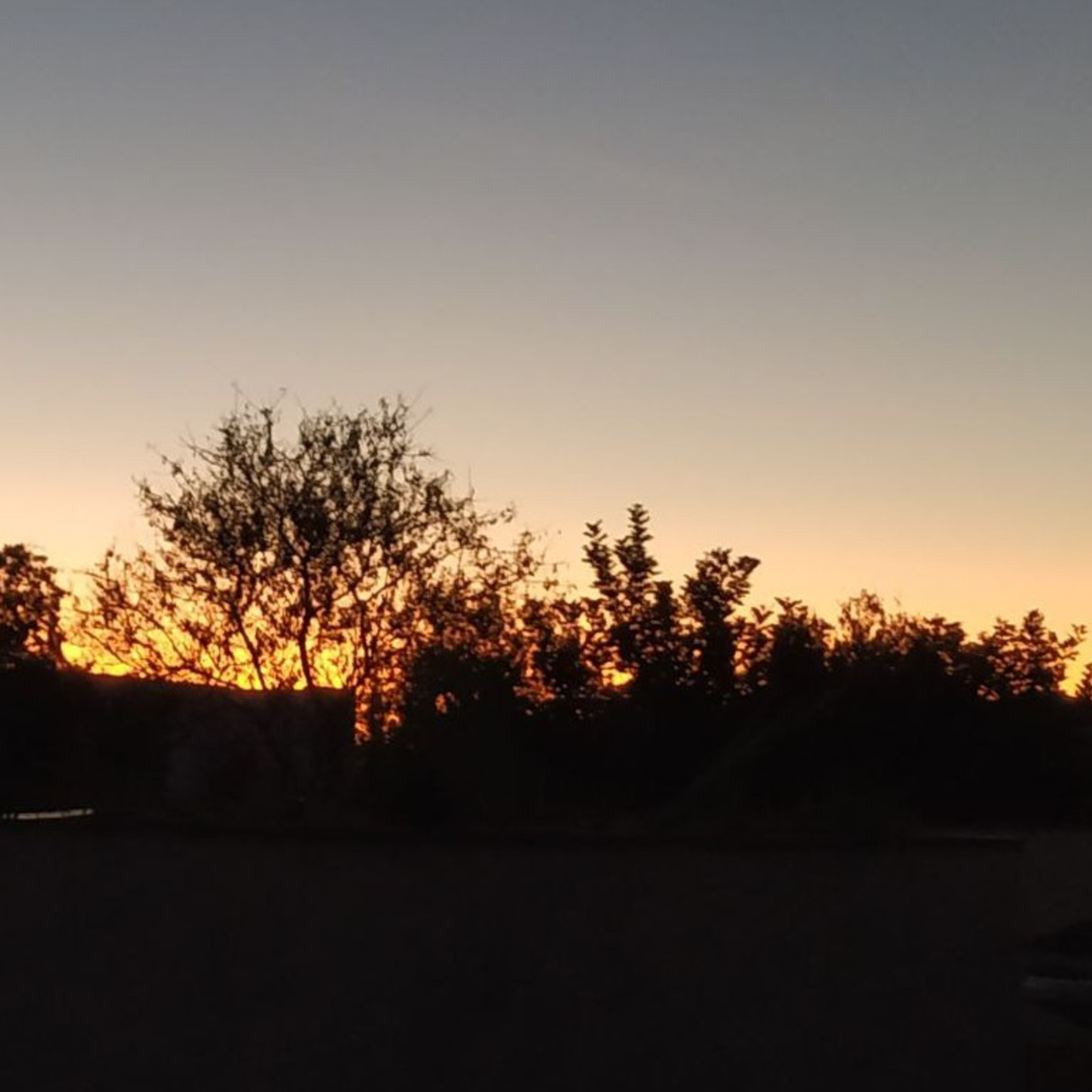 Unser tägliches Brot