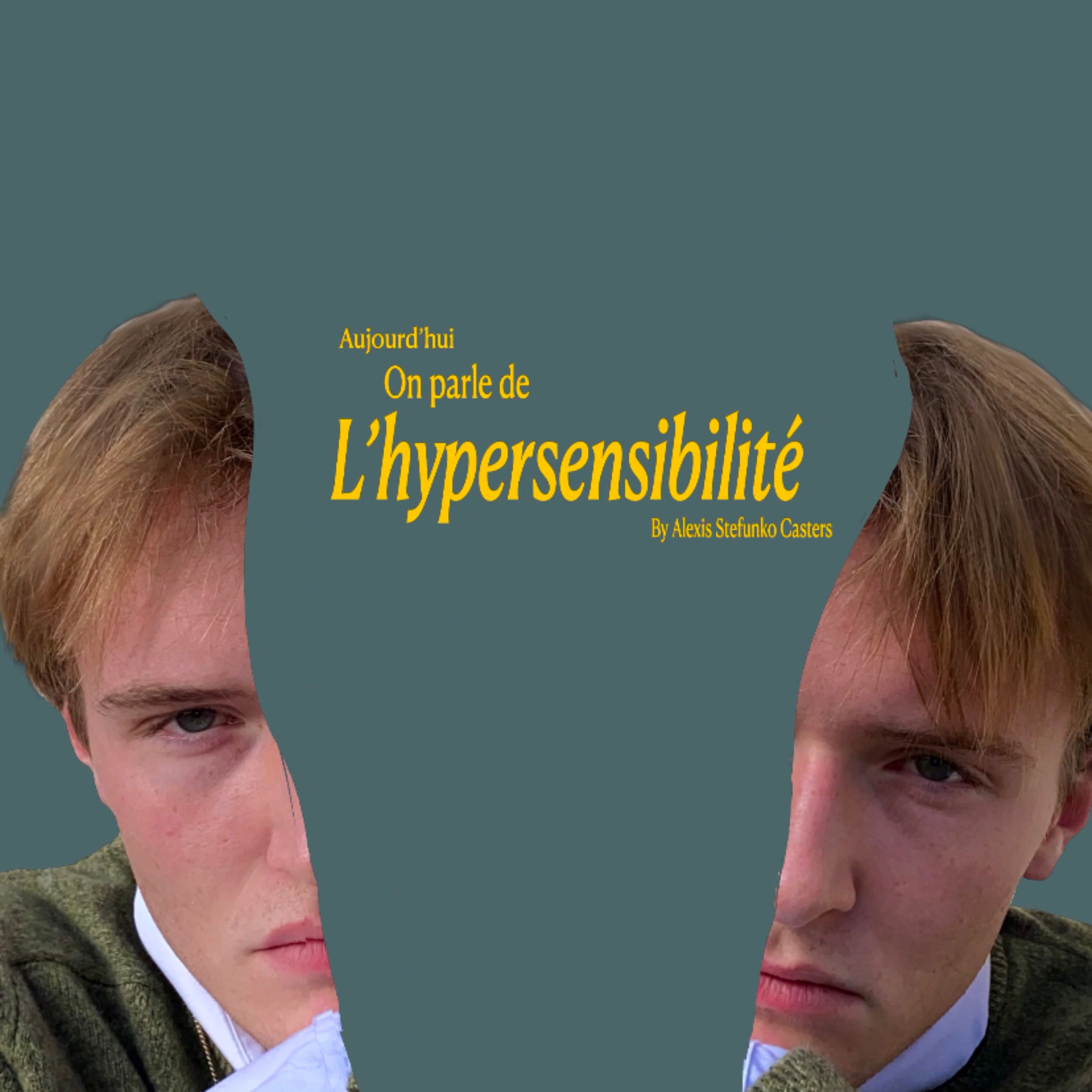 L’hypersensibilité  episode artwork