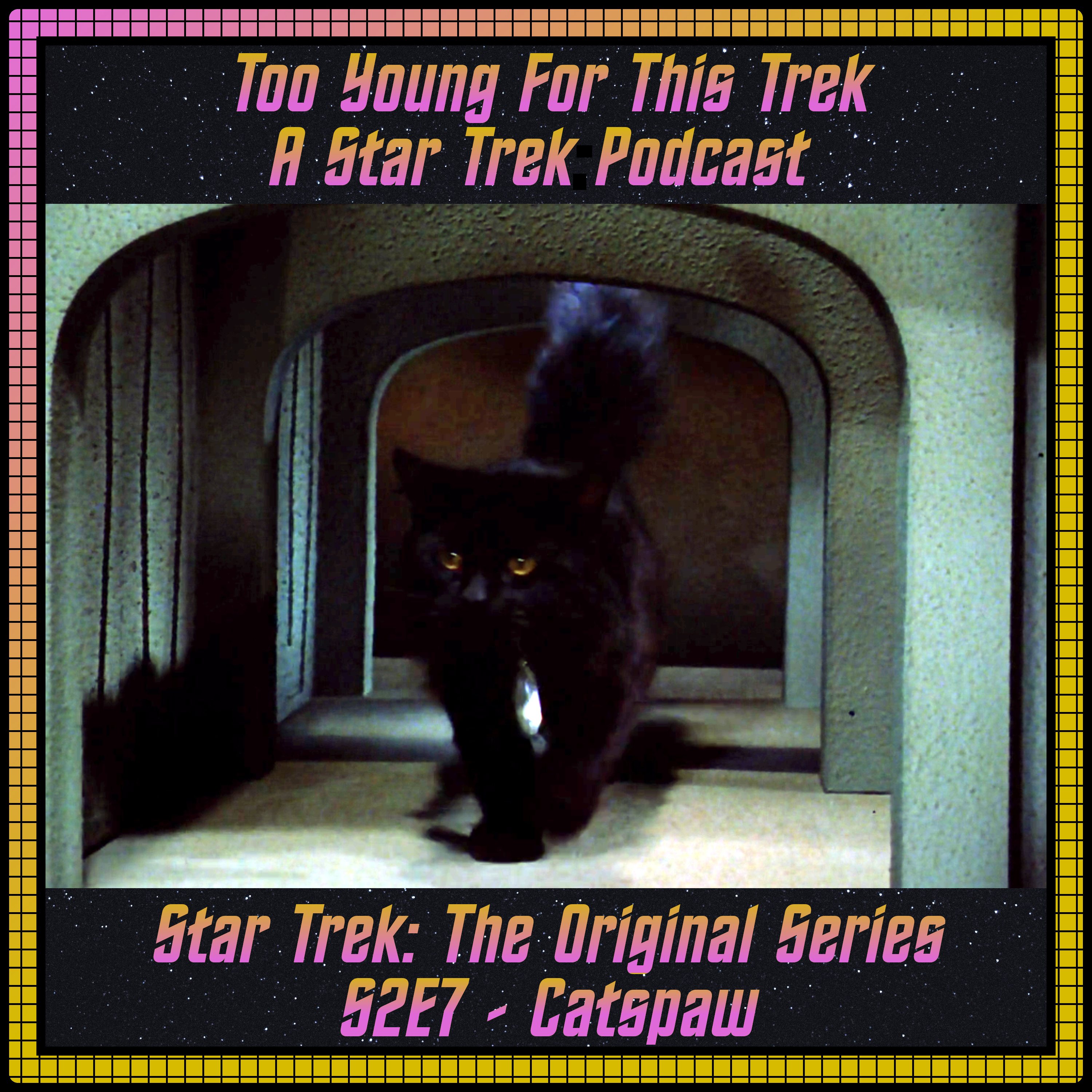 Too Young For This Trek: The Search for Booty (A Star Trek Podcast)