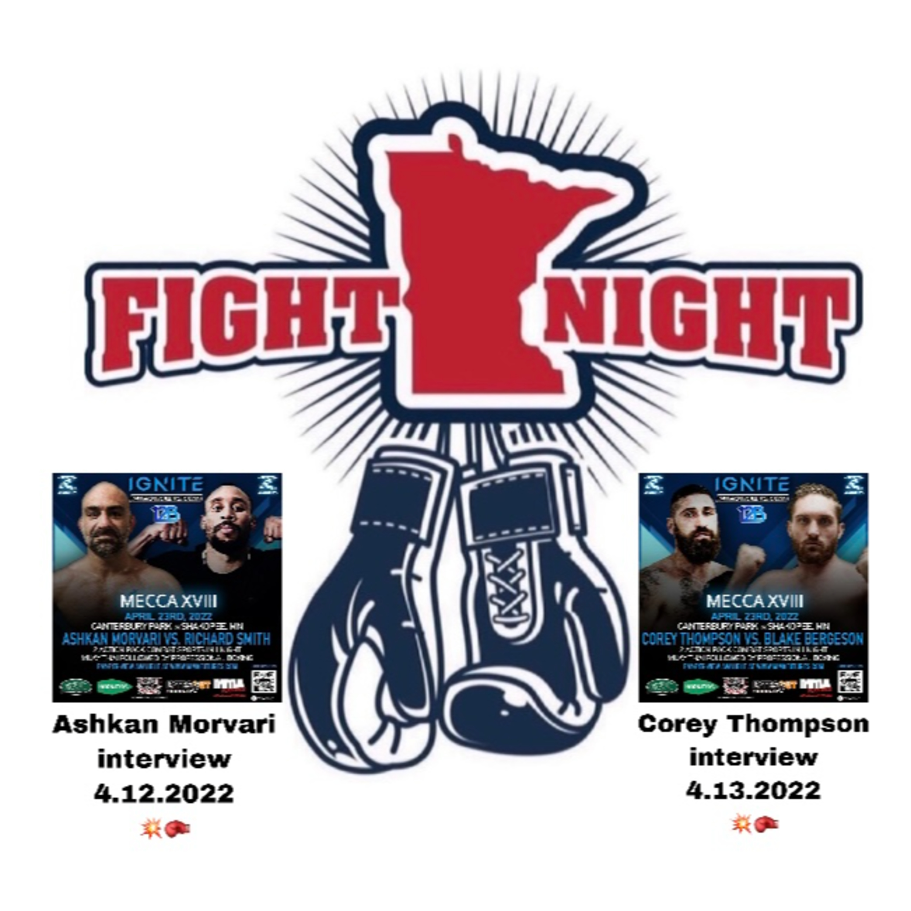 Minnesota Fight Night