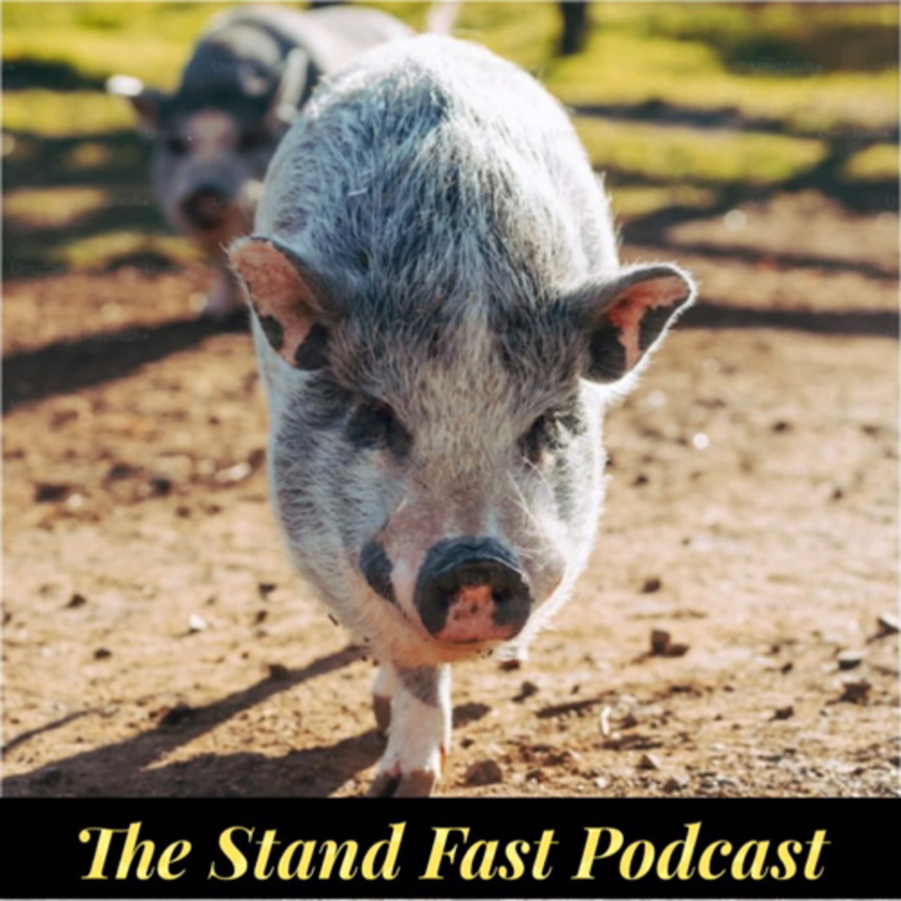 Stand Fast