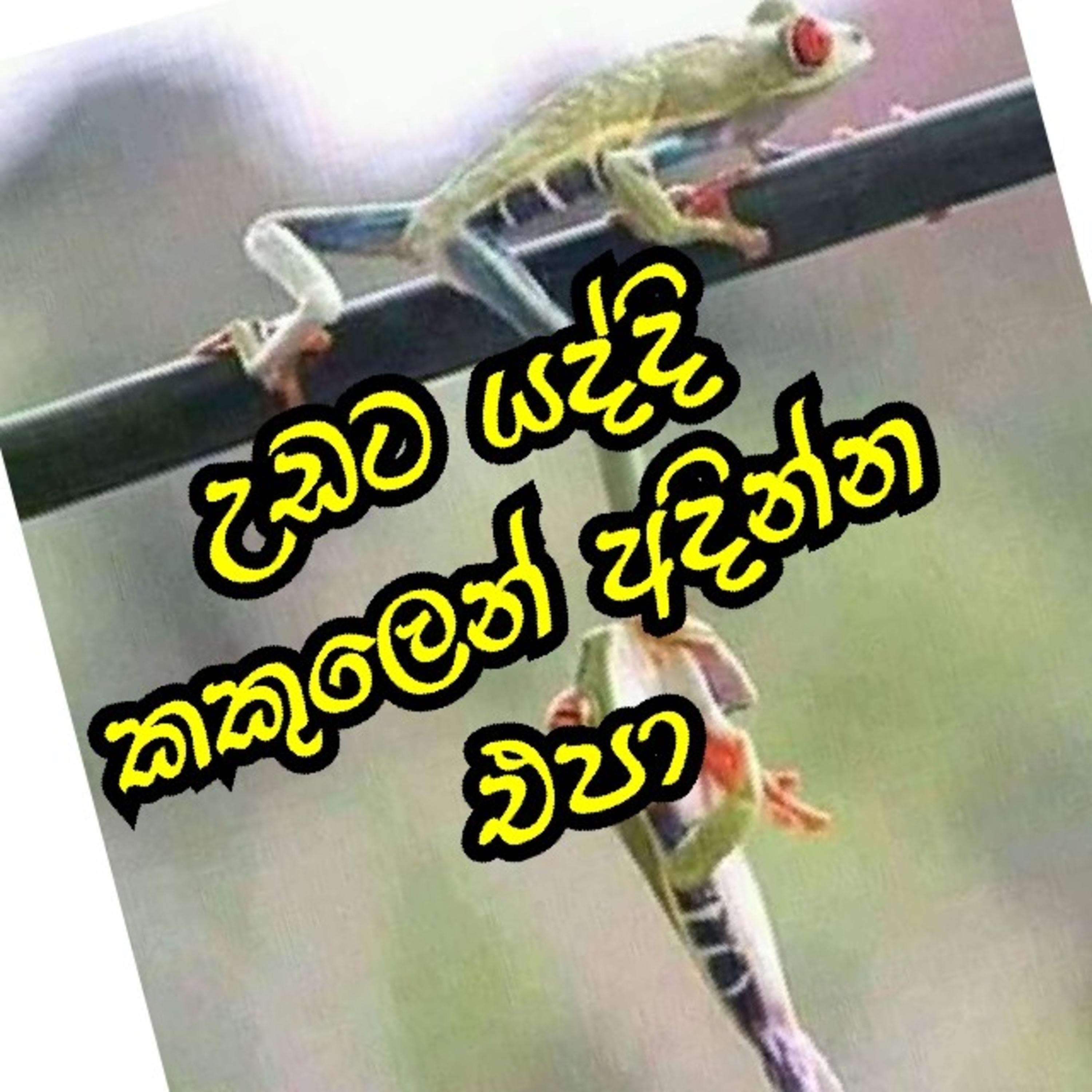 Sinhala Voice