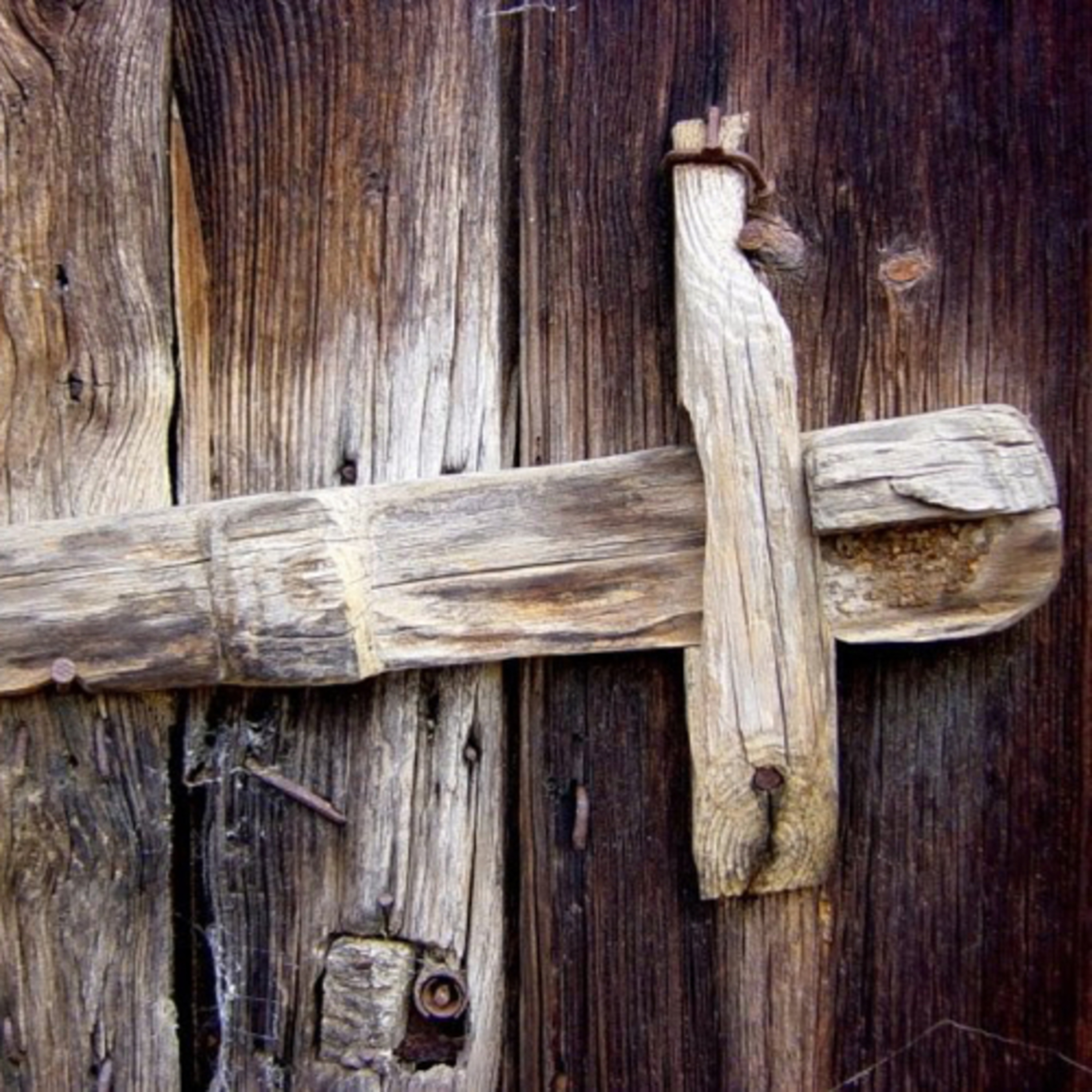 HOMILIA DOMINICAL