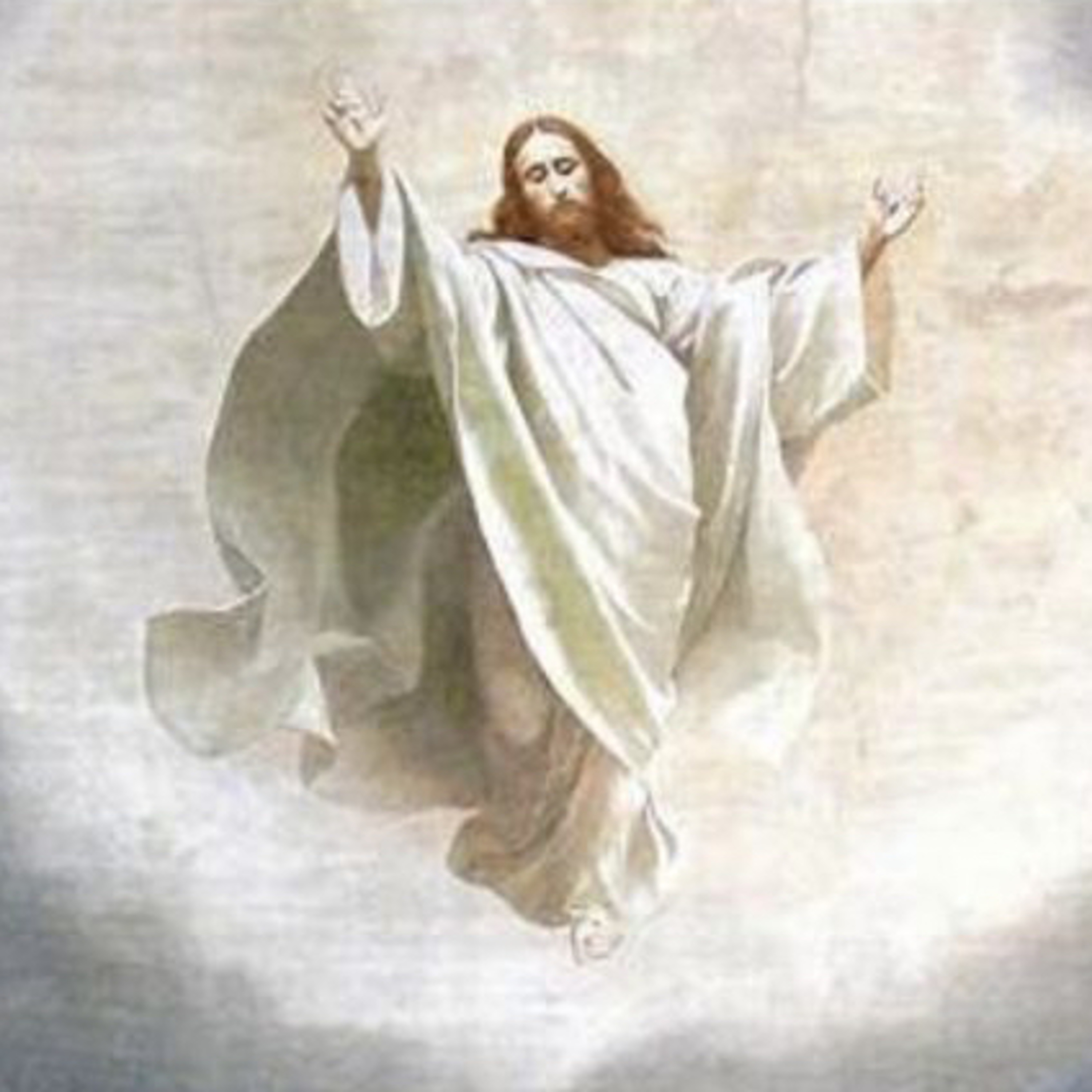 HOMILIA DOMINICAL