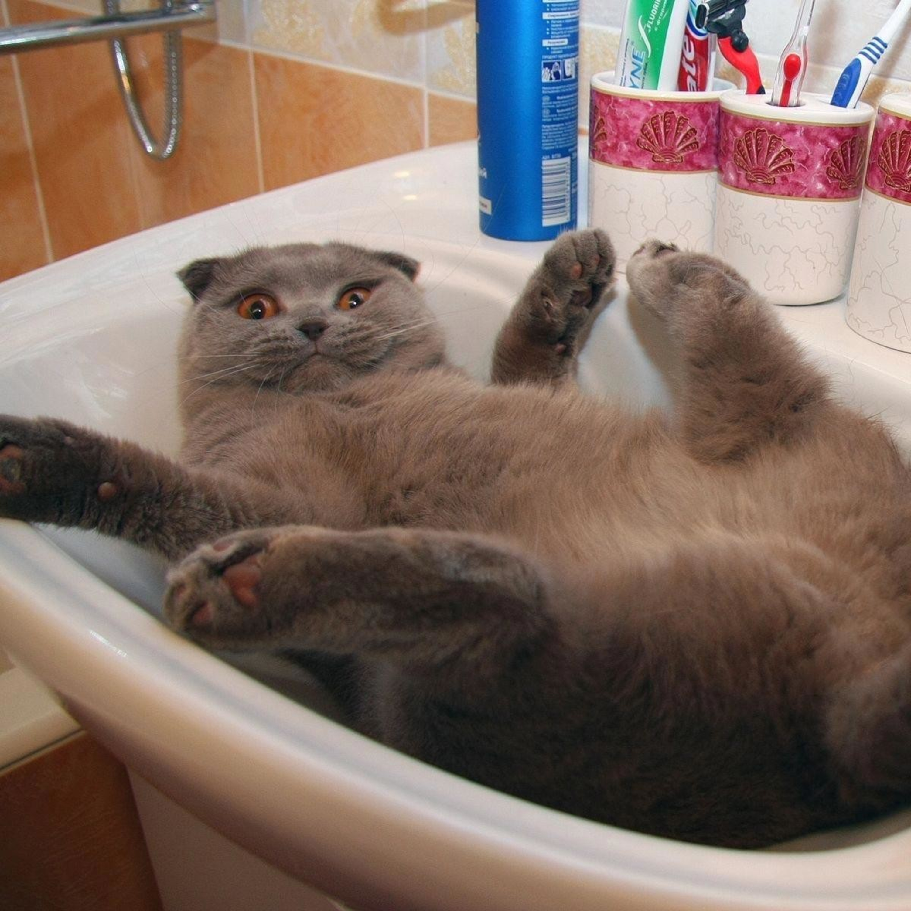 Unignorierbar. Die Stimme des Widerstands!