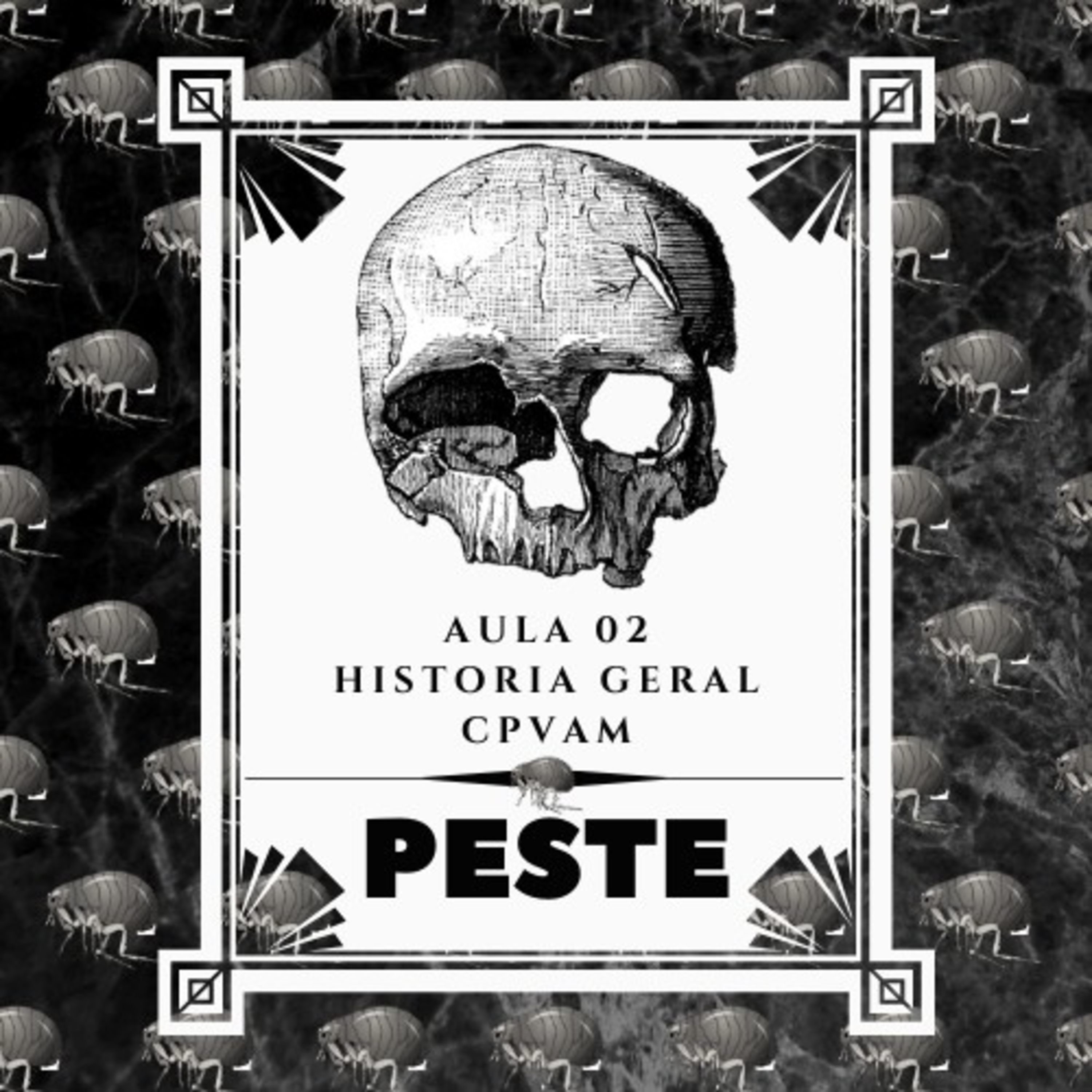 História Geral - CPVAM