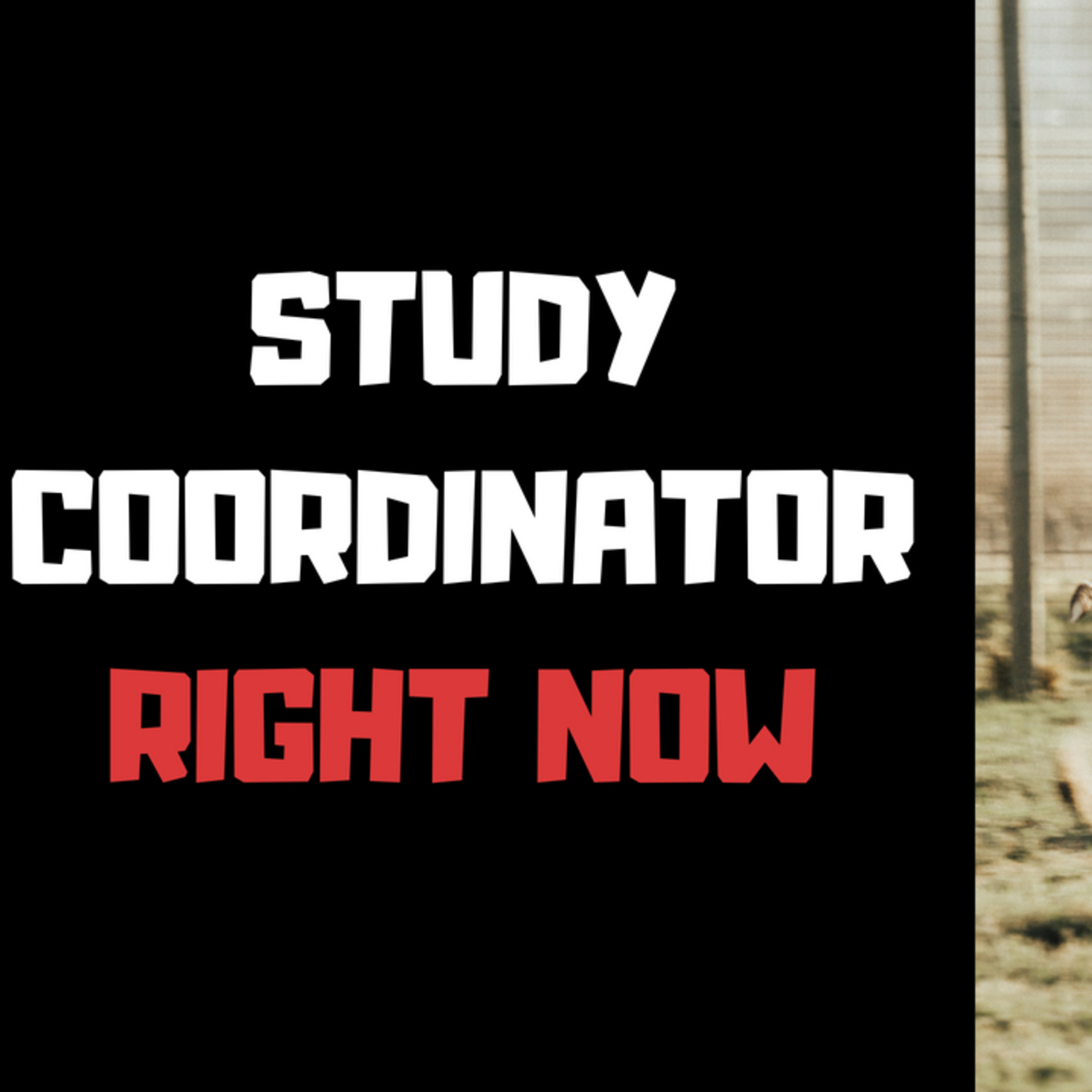  Be A Study Coordinator Right Now!  episode artwork