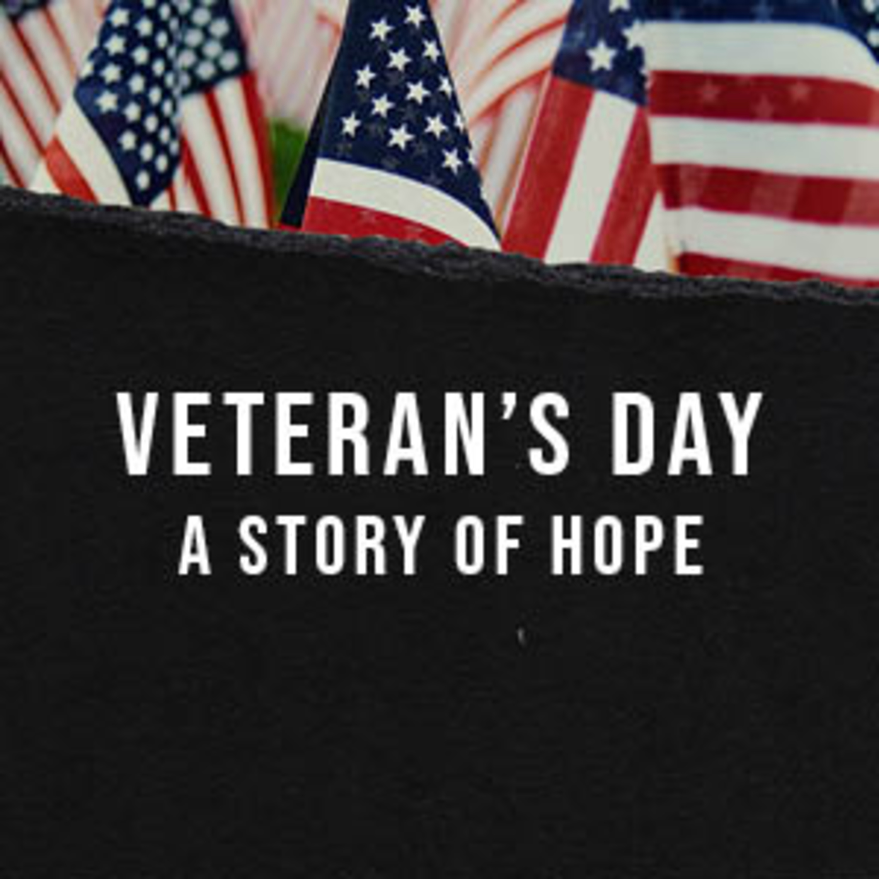 Veterans Day 2020: A Story of Hope  episode artwork