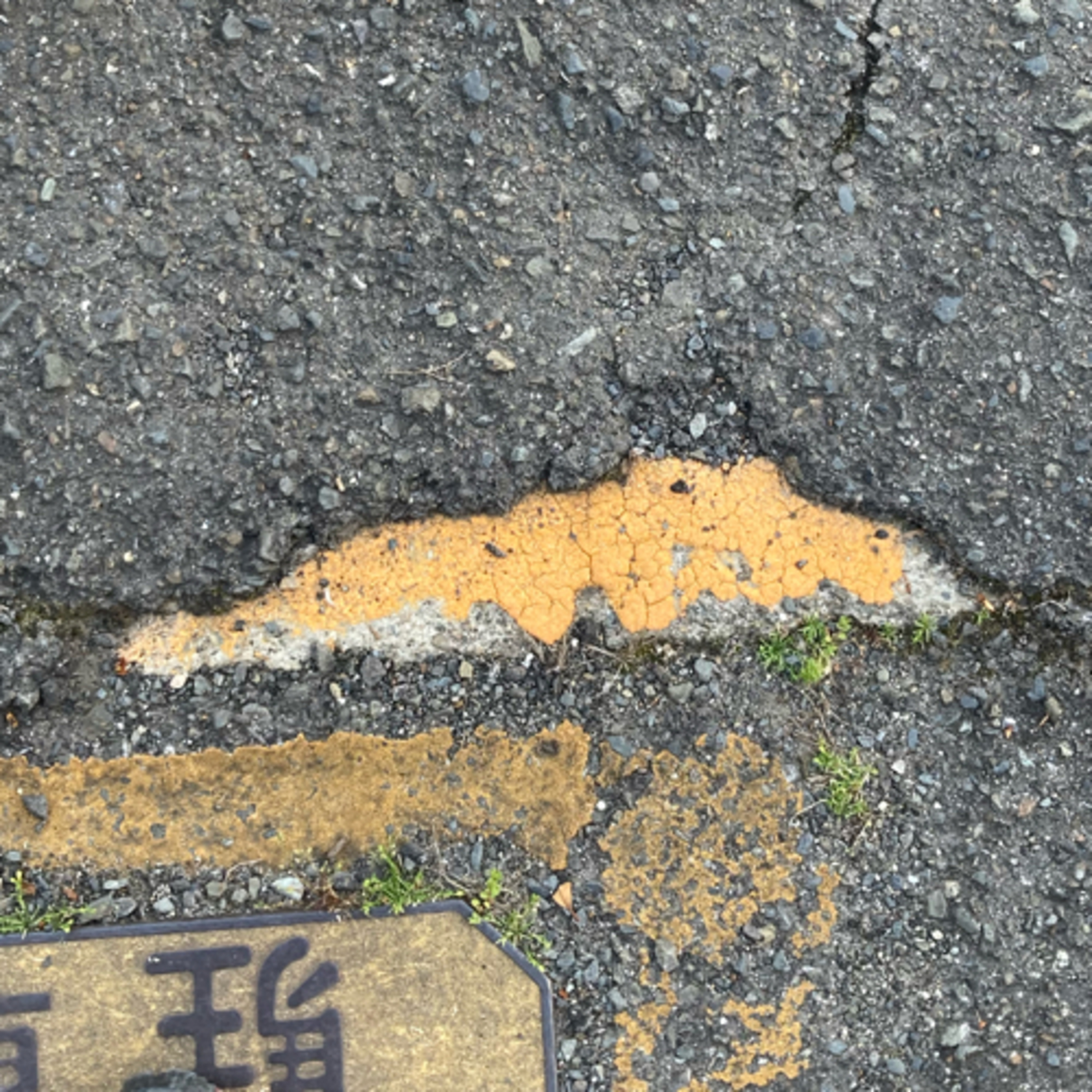 公立幼稚園の良さを味わいながら、自分の泥がついてる出ている杭を愛そうと、鶯と共に収録しました episode artwork