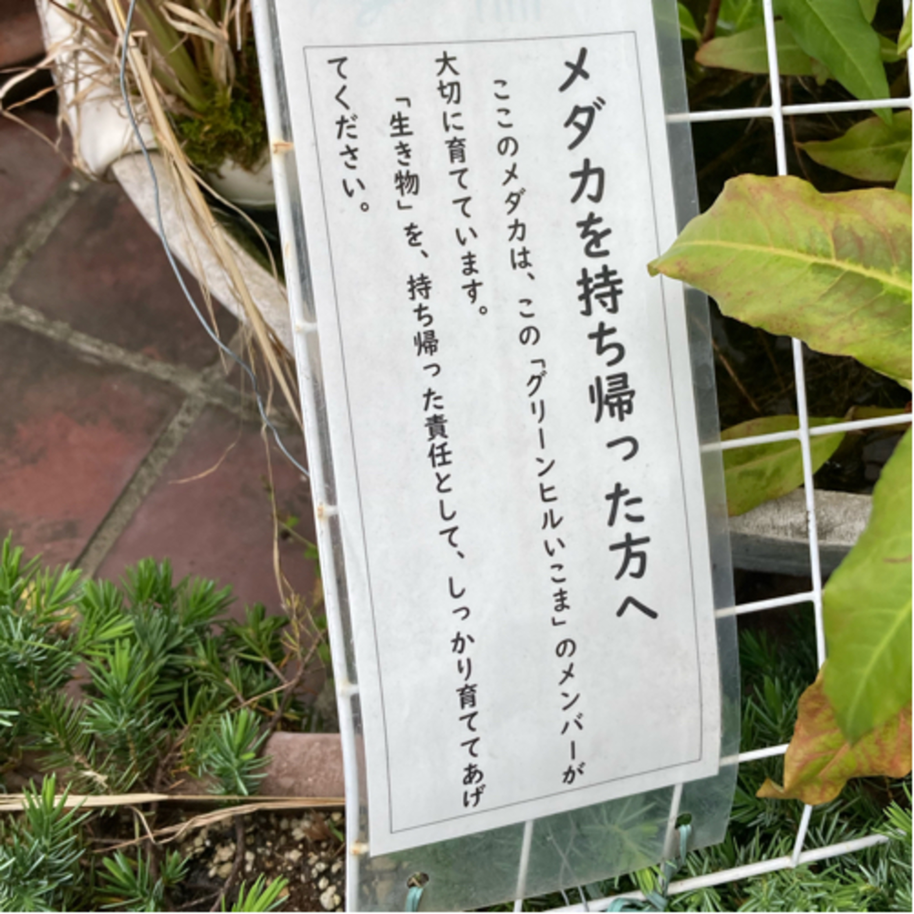 夕飯を作りながら、生産性がない私？お金が切っても切れないこの世の中について悶々と‥ episode artwork