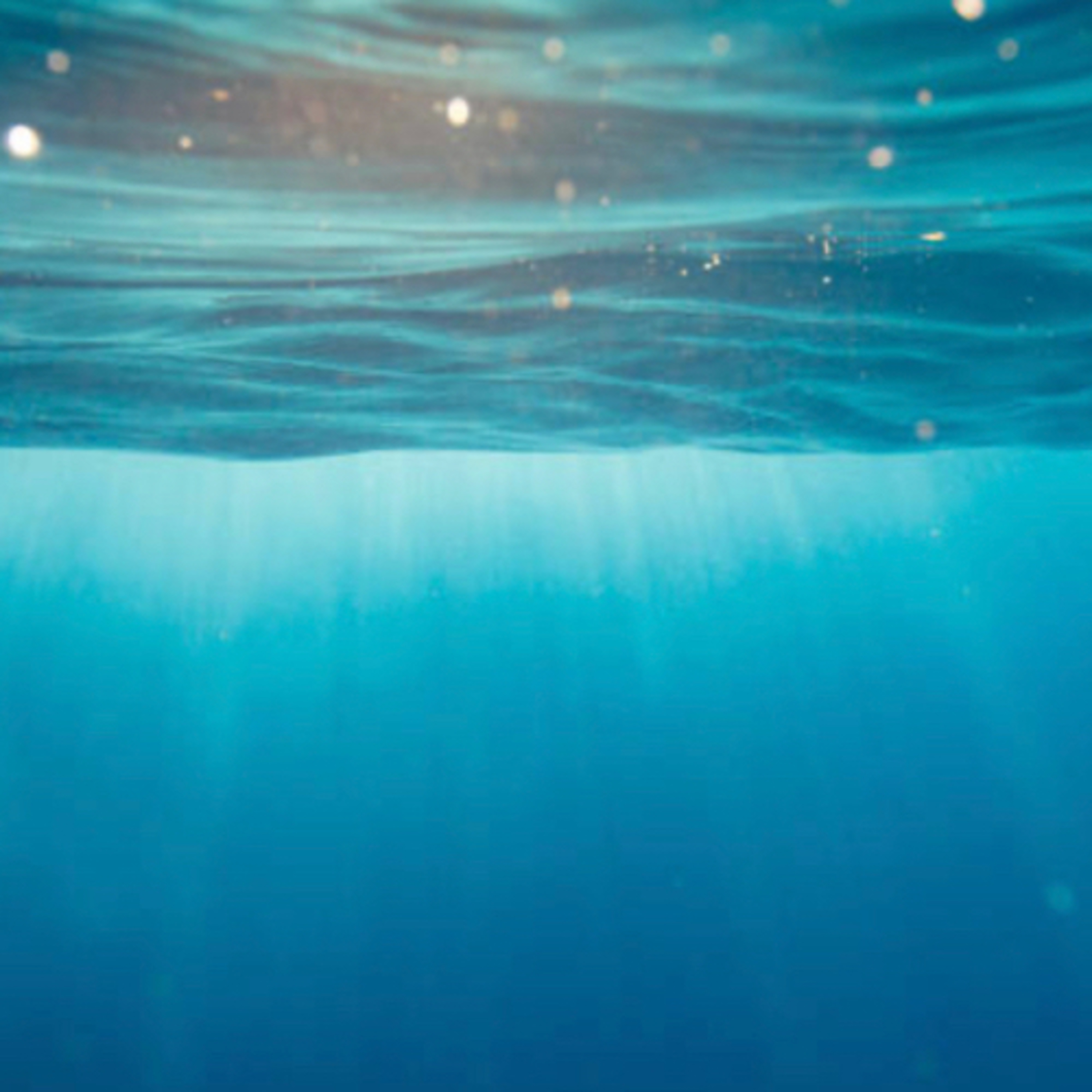 Protecting Life Under Water episode artwork