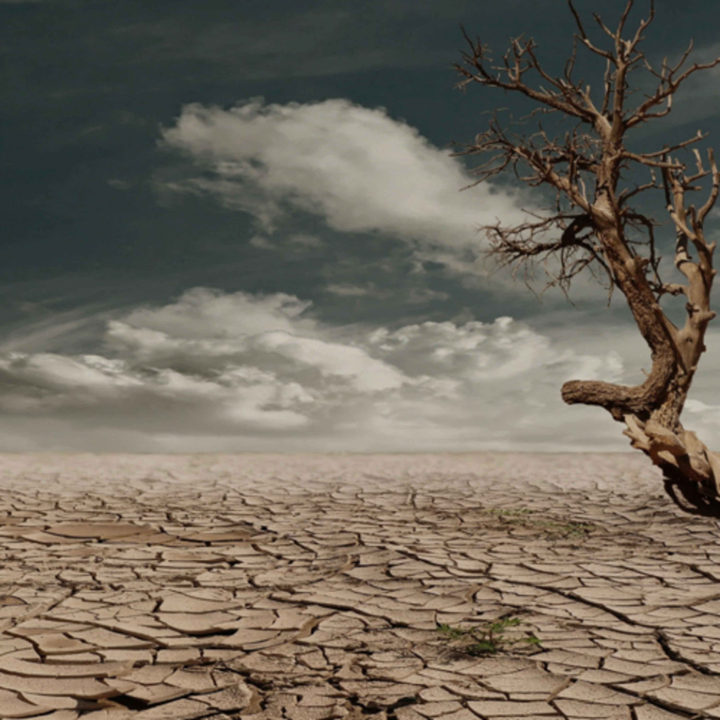 Climate Change and Catastrophic Events episode artwork