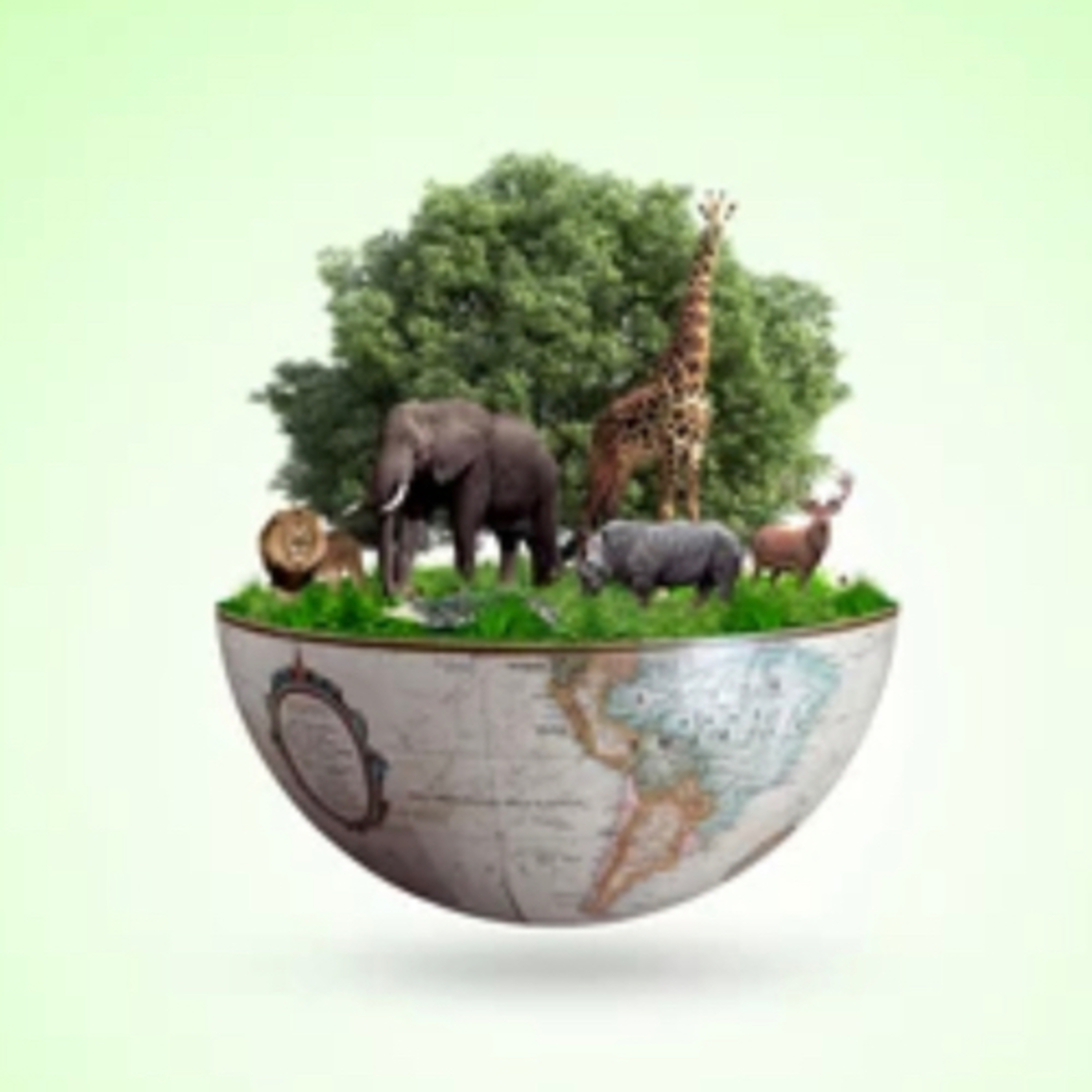 Protecting Biodiversity episode artwork