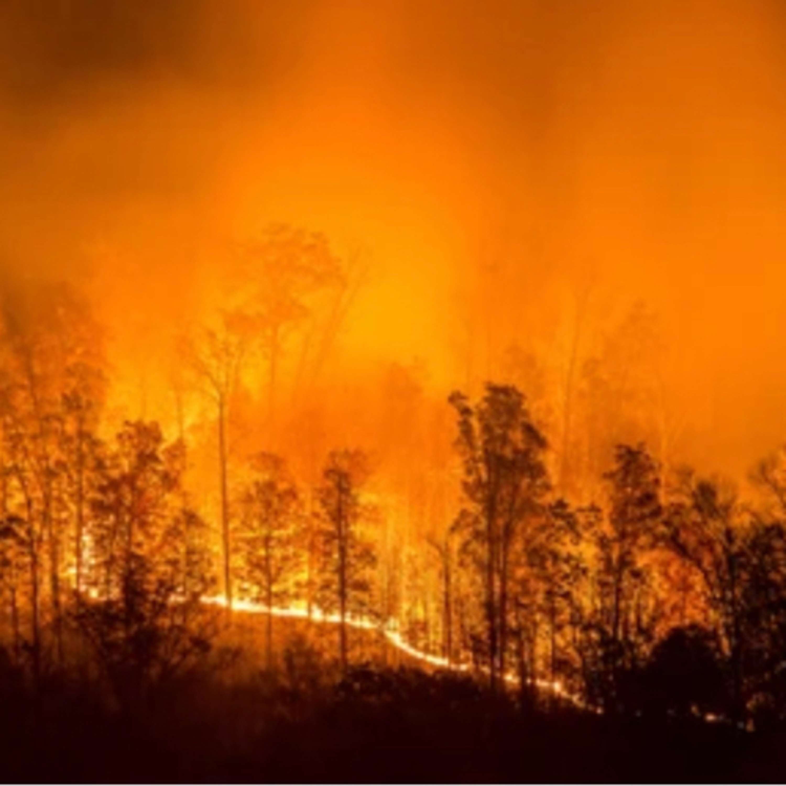 Extreme Weather Events 2: Heat Domes and Wildfires episode artwork