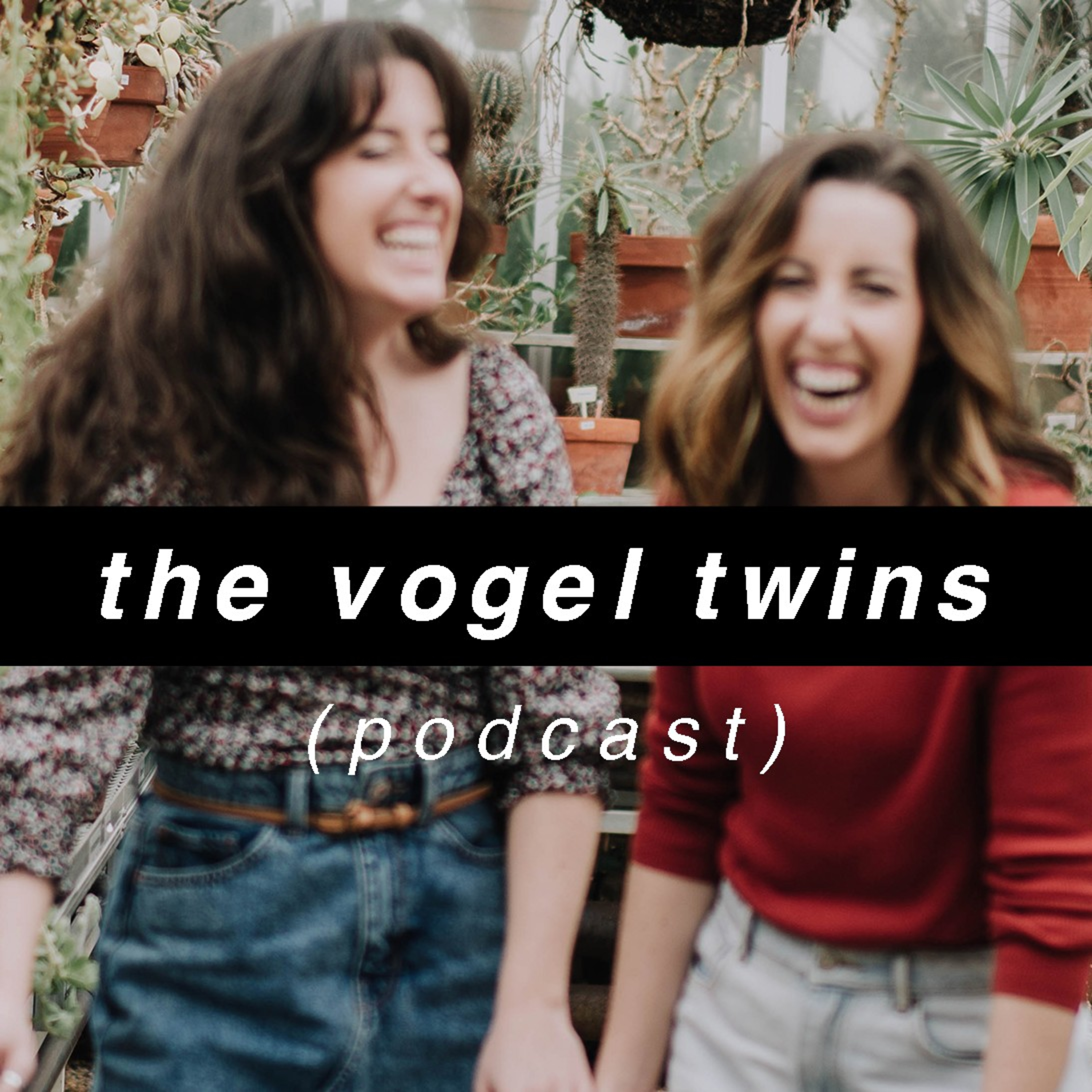 the vogel twins