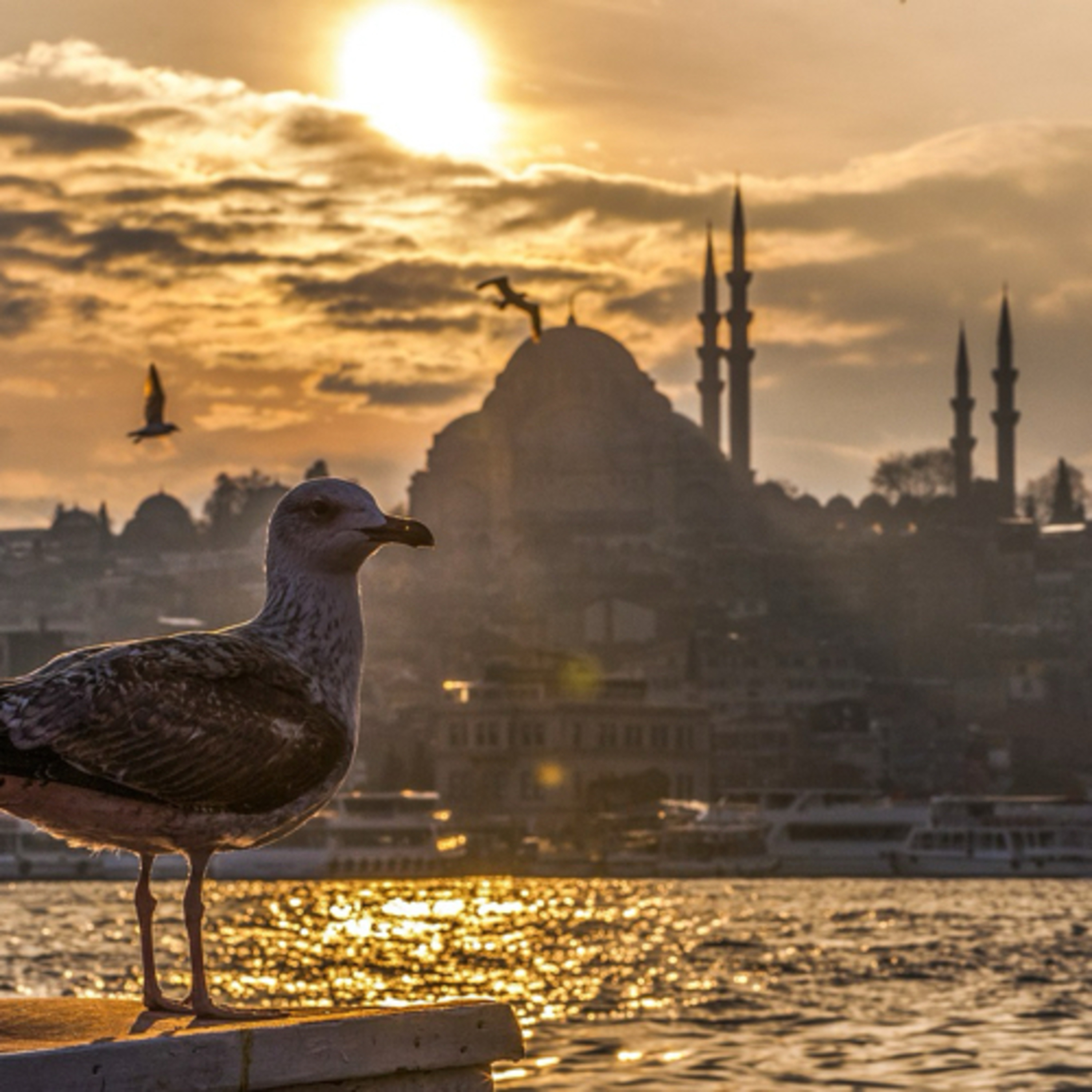 Hikayeler Anlatan Kadın