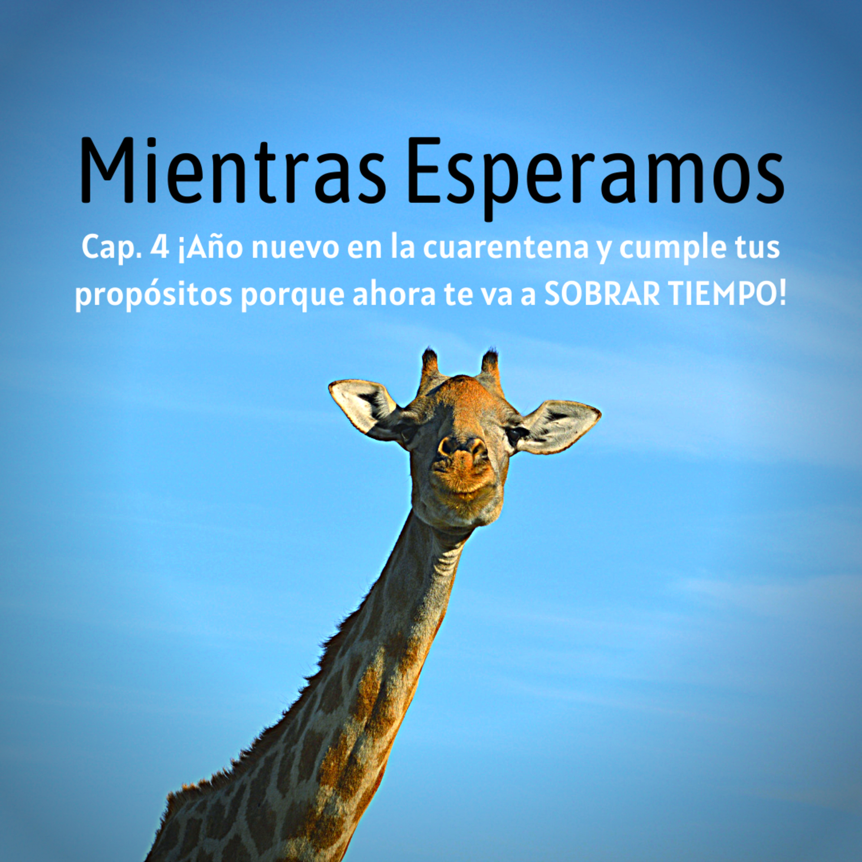 Mientras Esperamos