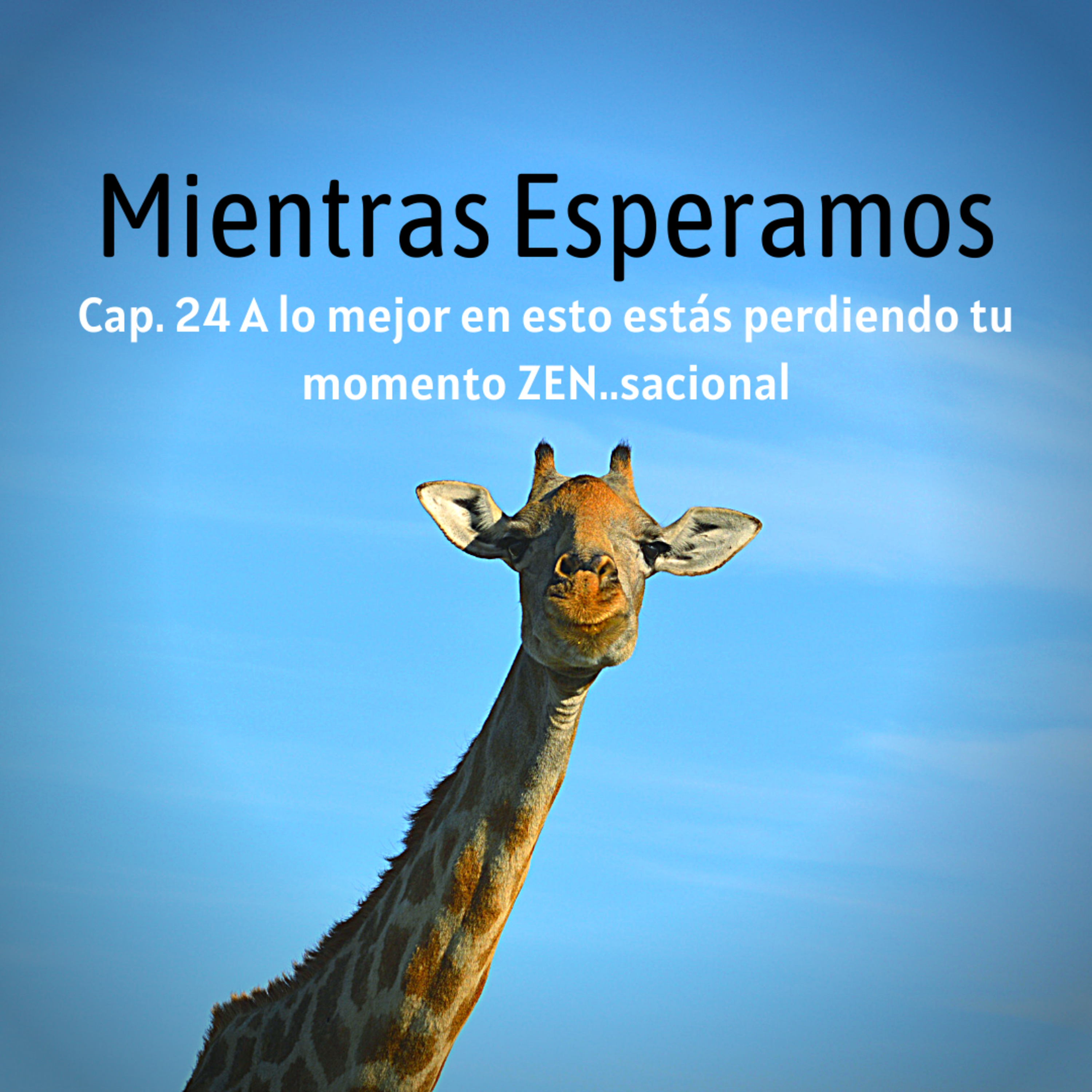Mientras Esperamos