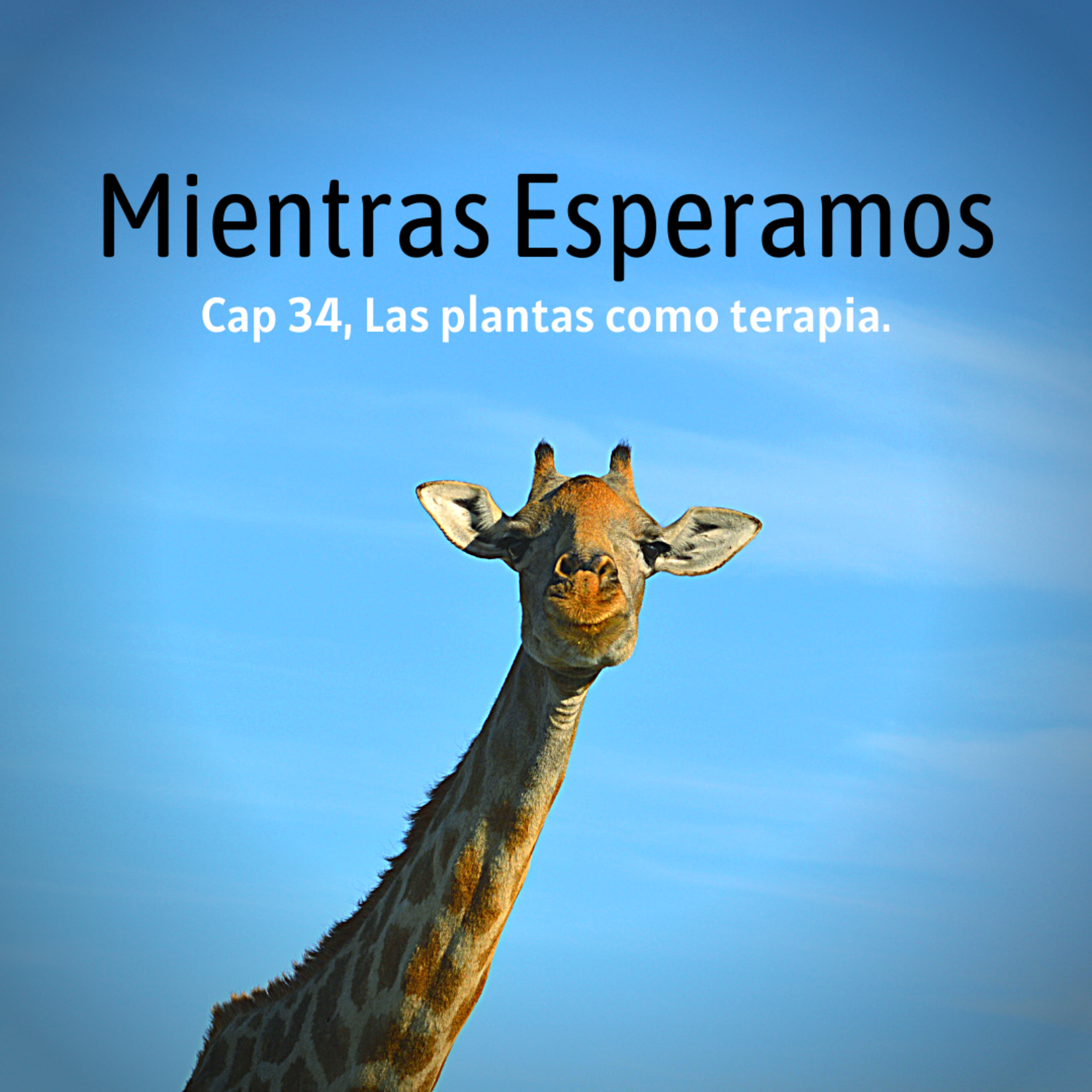 Mientras Esperamos