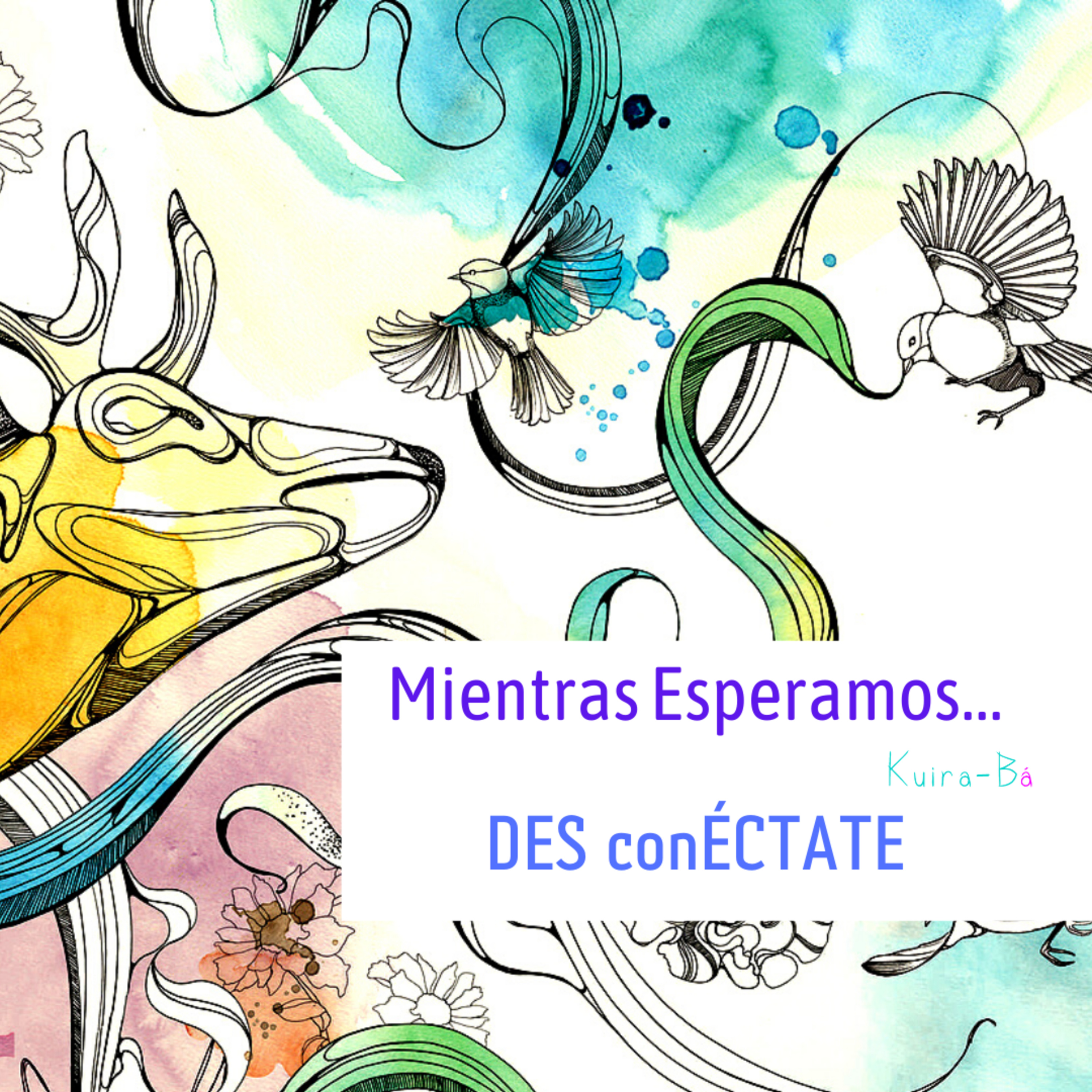 Mientras Esperamos