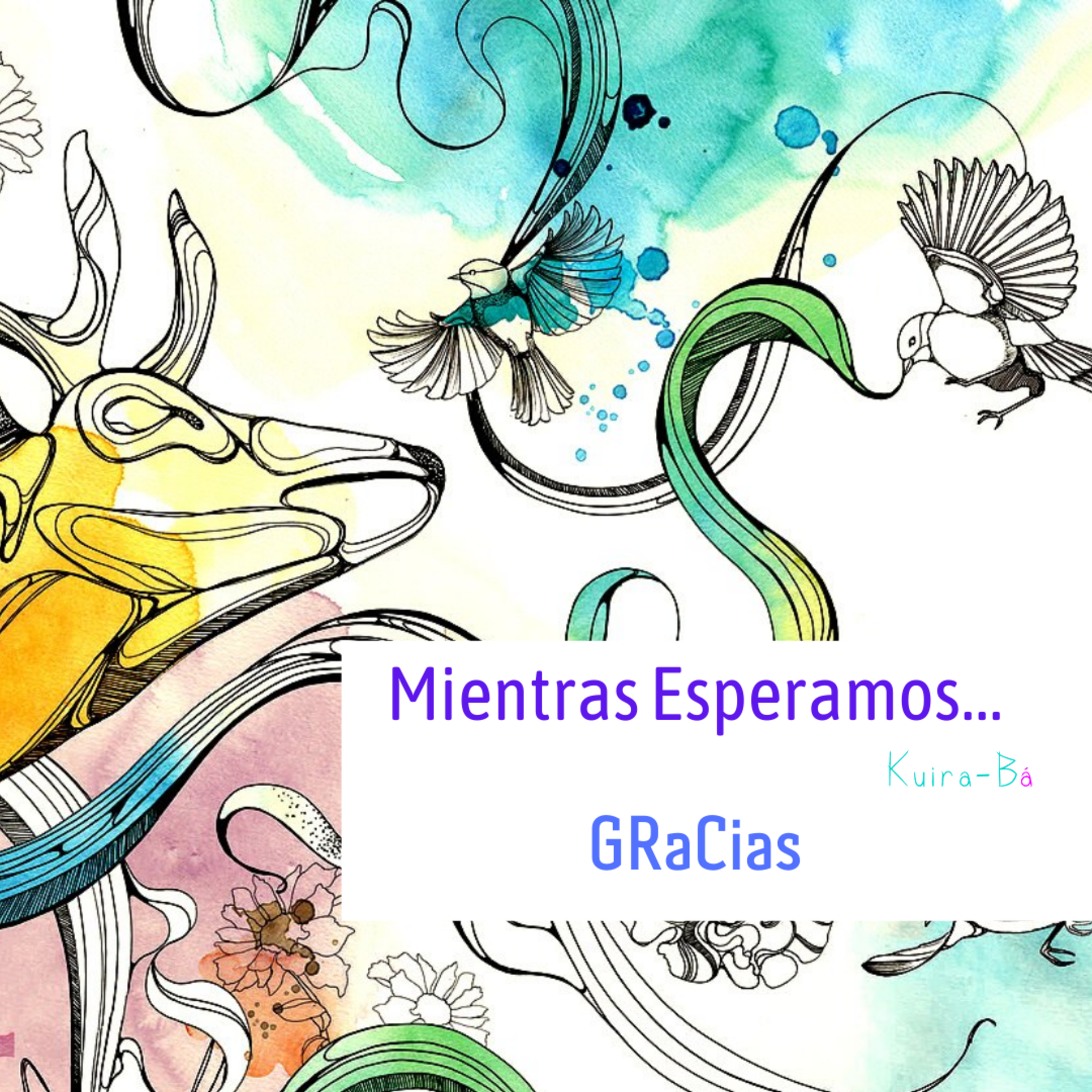Portada de NotaDeVoz