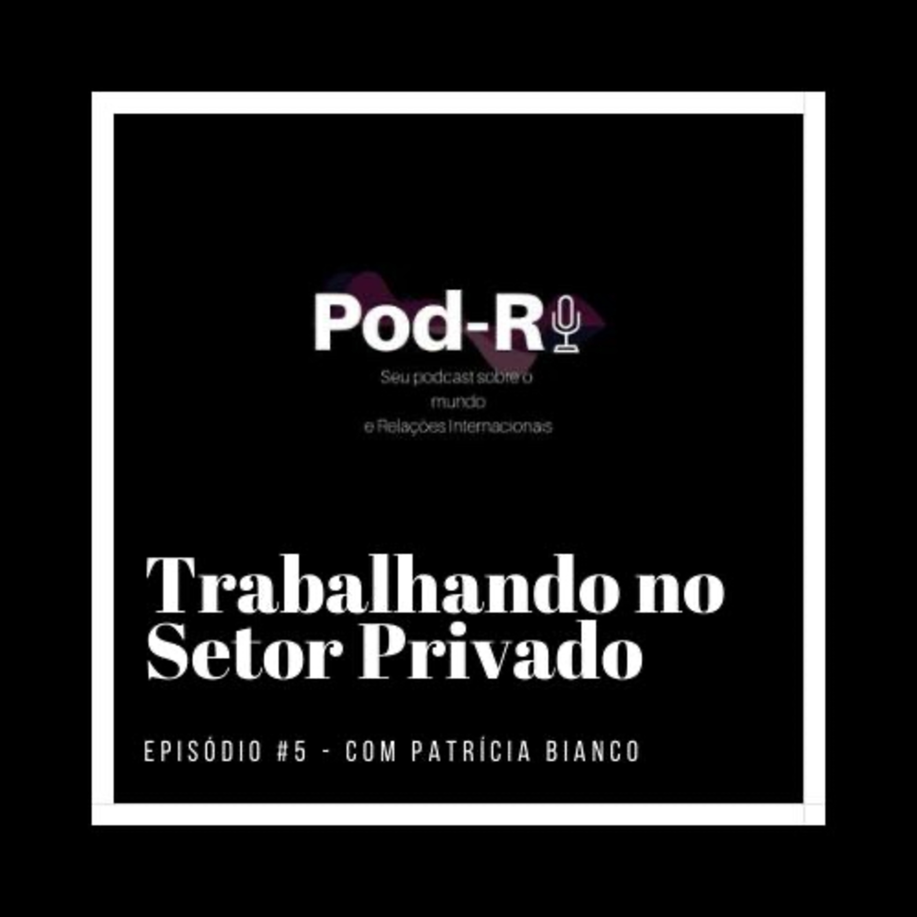 Pod-RI #5 - Trabalhando no Setor Privado com Patrícia Bianco episode artwork